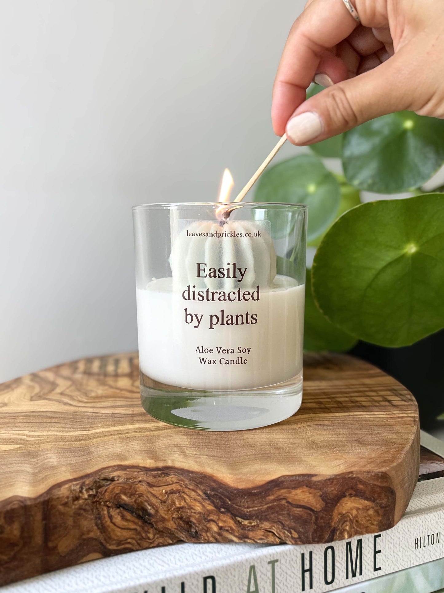 Plant lover gift round cactus candle in glass jar