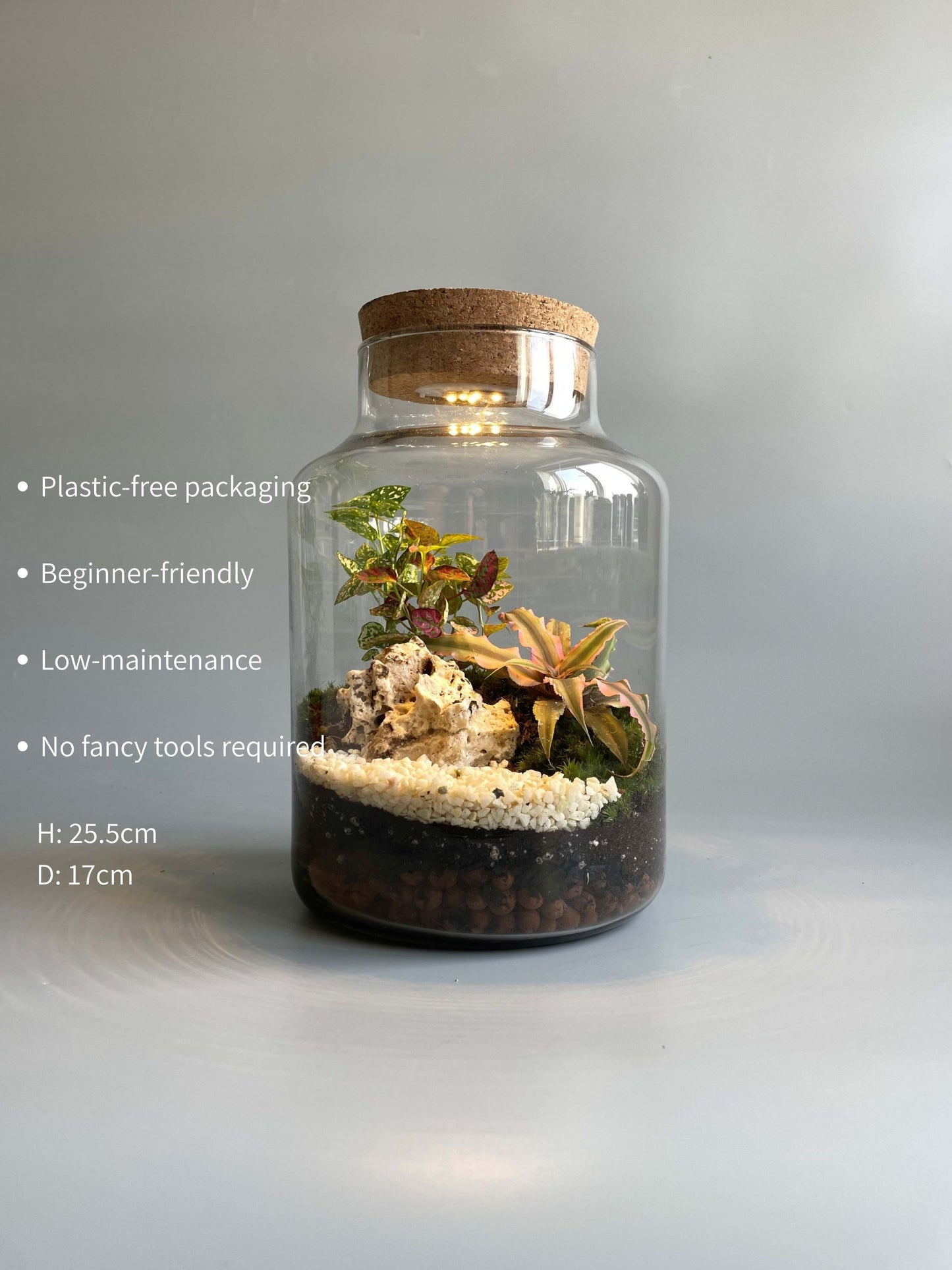 Light-up Terrarium Kit - H: 25.5cm D: 17cm
