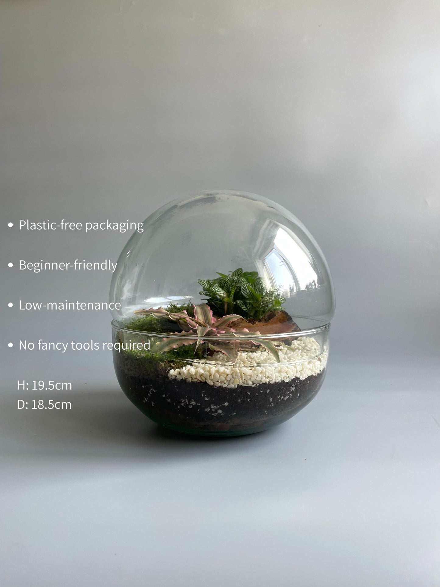 Glass Bowl Terrarium Kit - H: 19.5cm D: 18.5cm