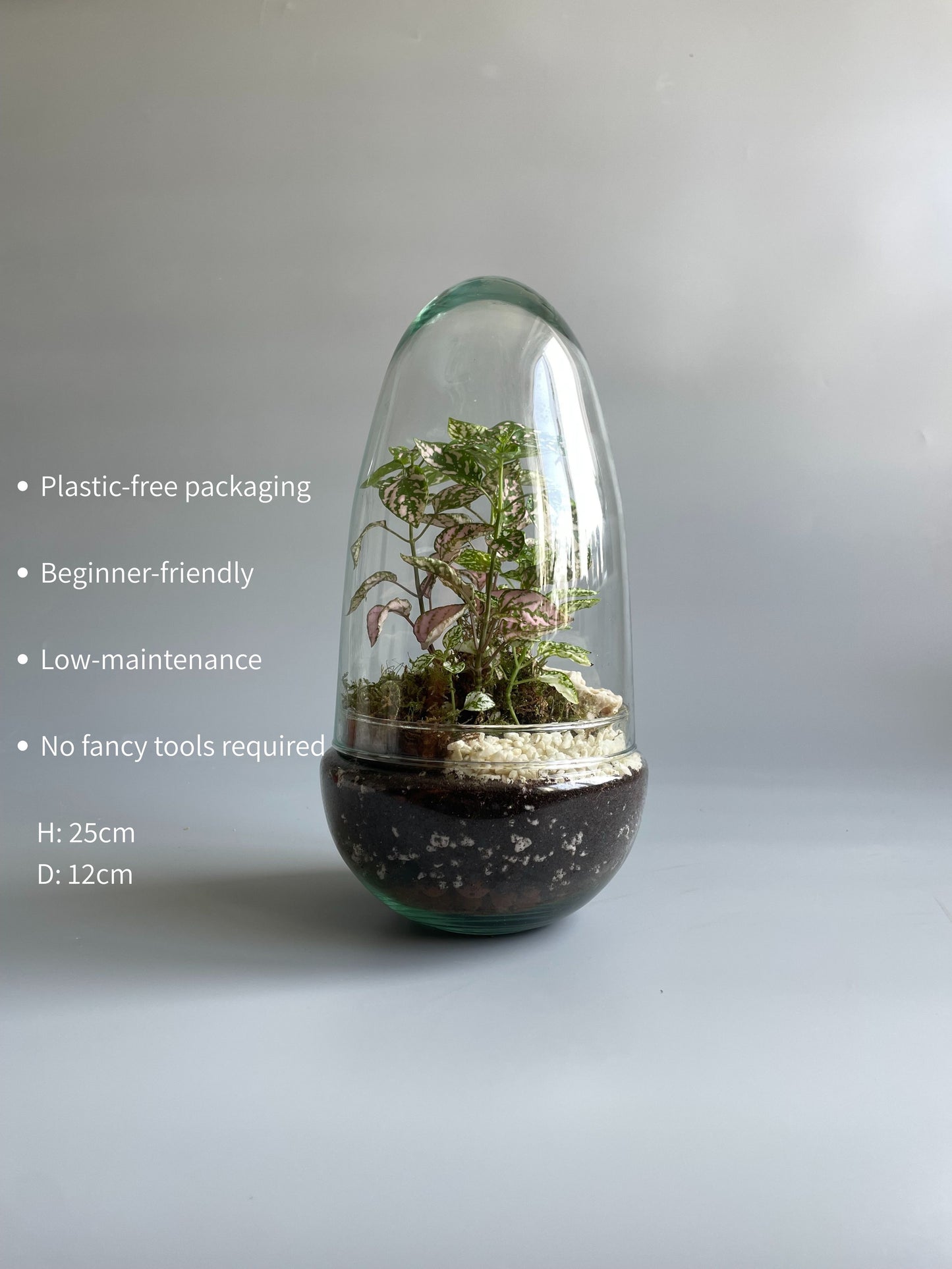 Glass Egg Terrarium Kit - H: 25cm D: 12cm