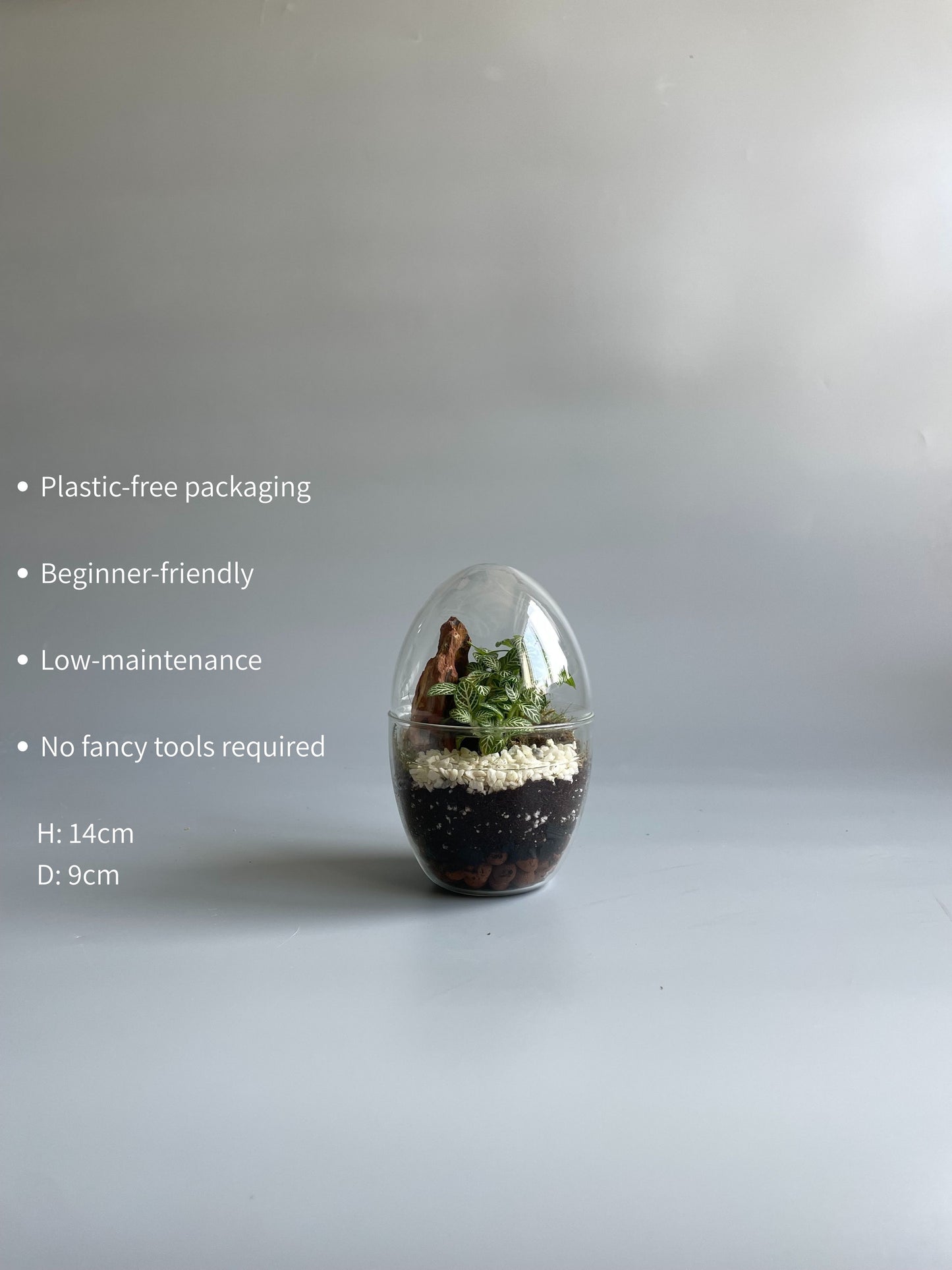 Glass Egg Terrarium Kit - H: 14cm D: 9cm