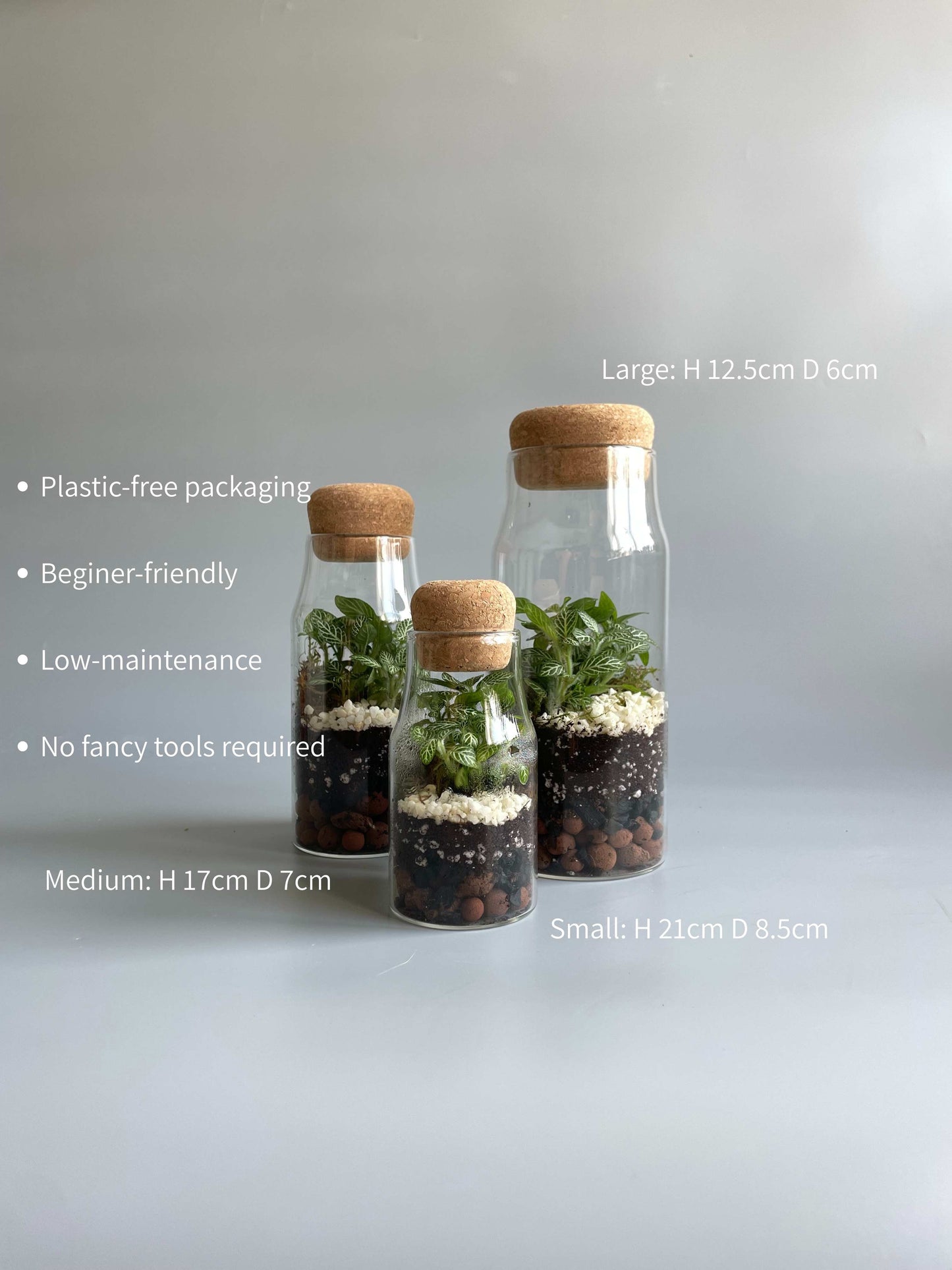 Bottle Terrarium Kit Bundle - S/M/L