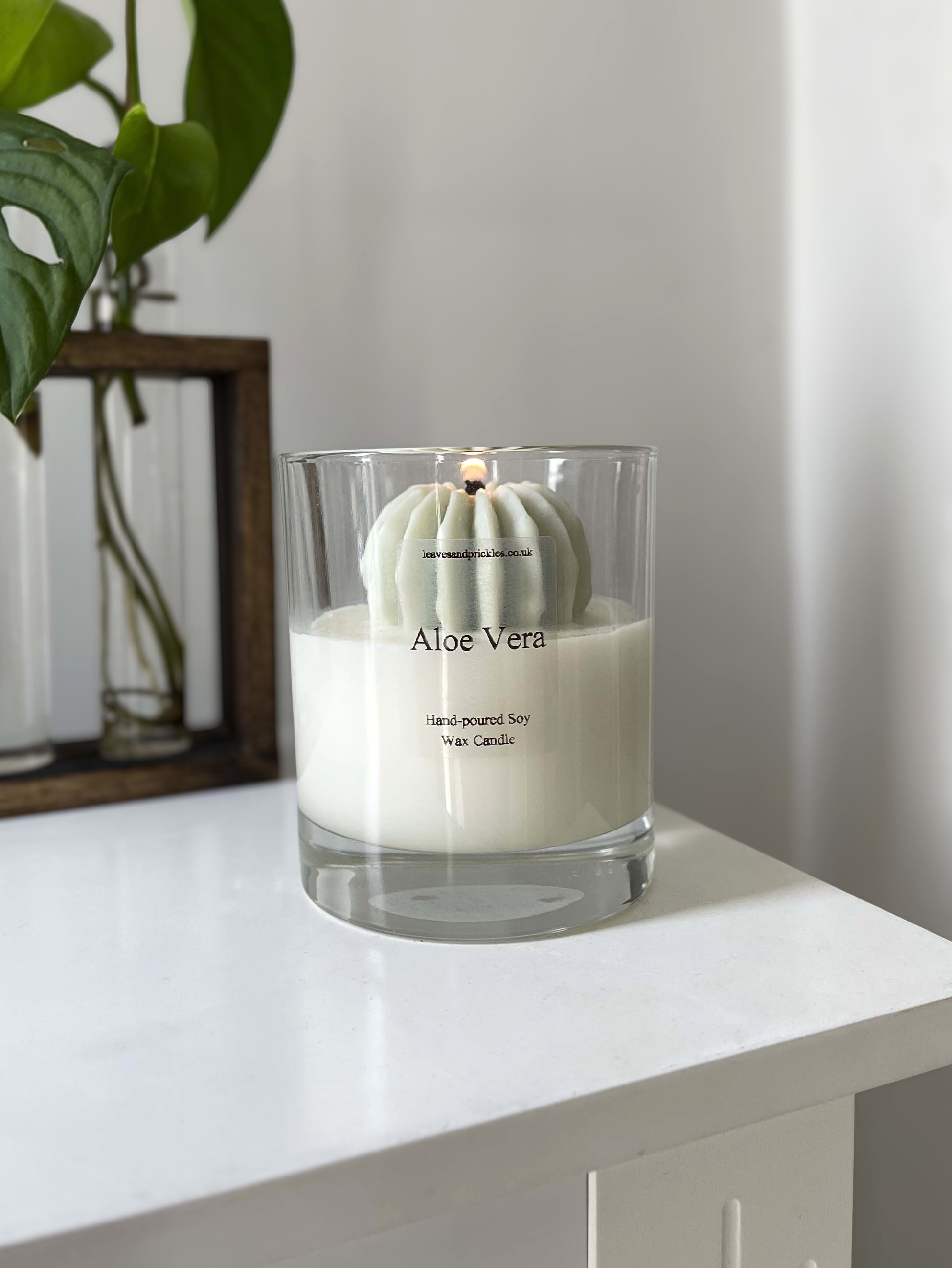 Round cactus candle in glass jar