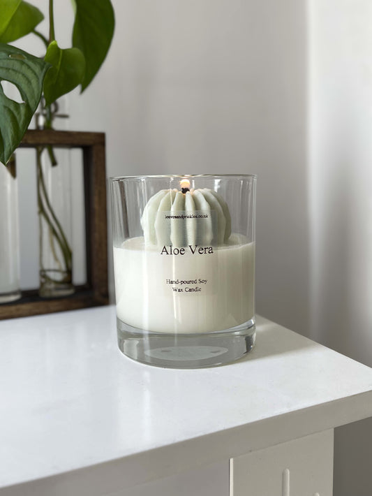 Round cactus candle in glass jar