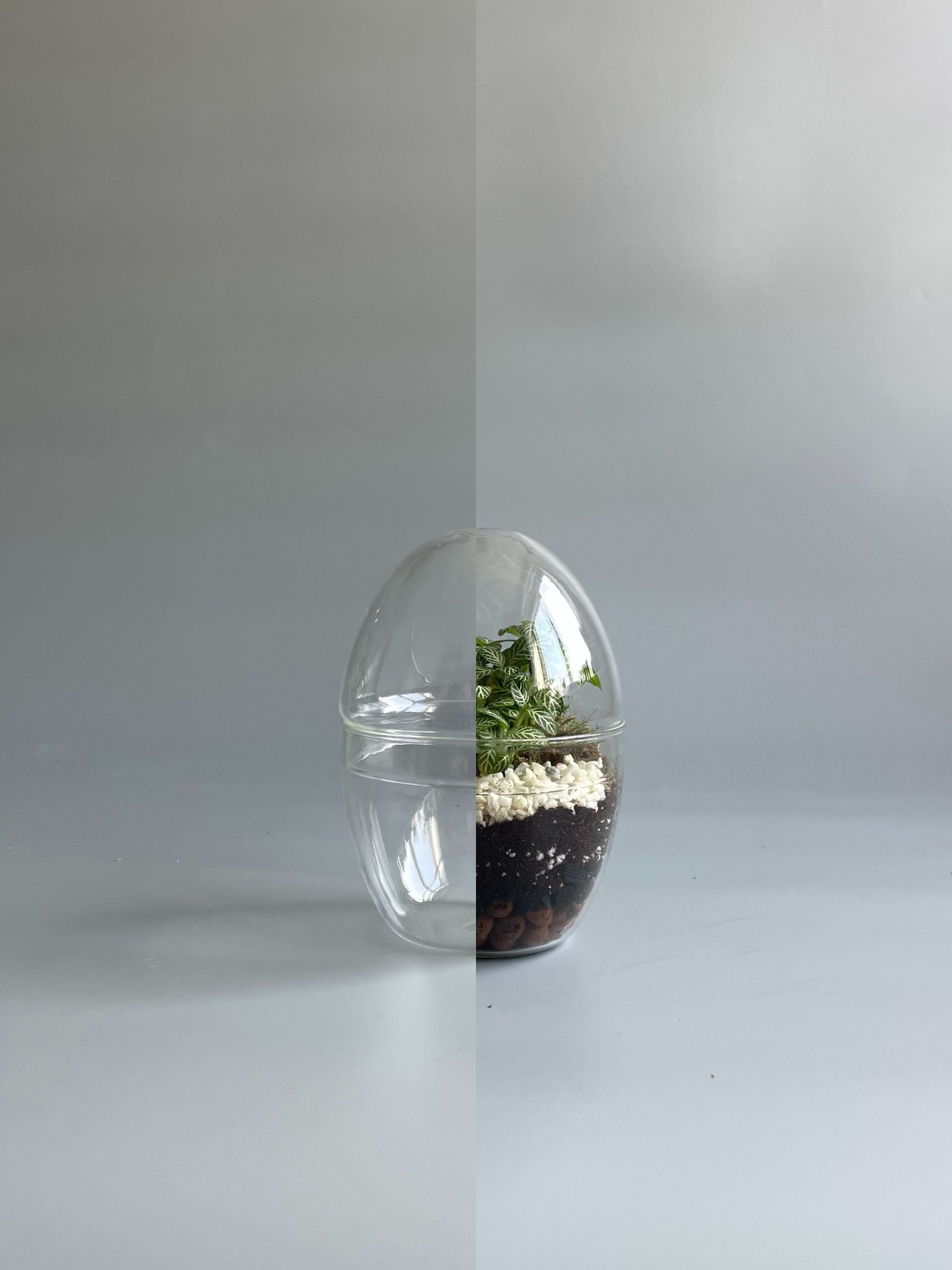 Small egg-shaped terrarium container