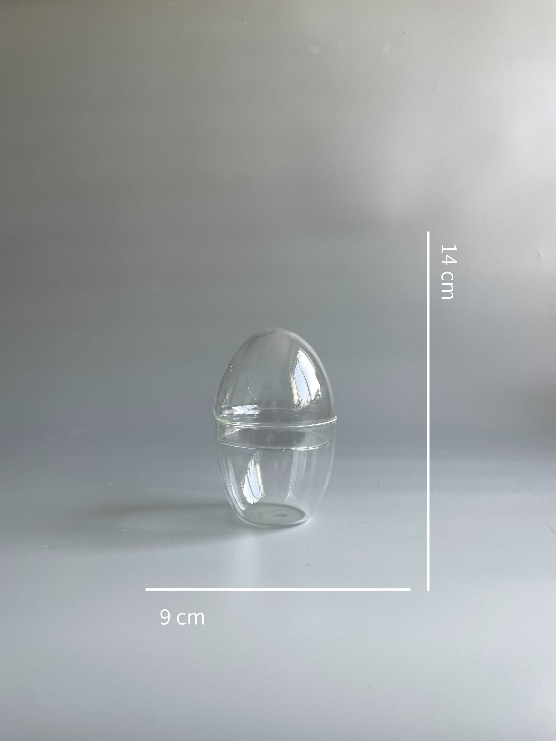 Small egg-shaped terrarium container on a grey background