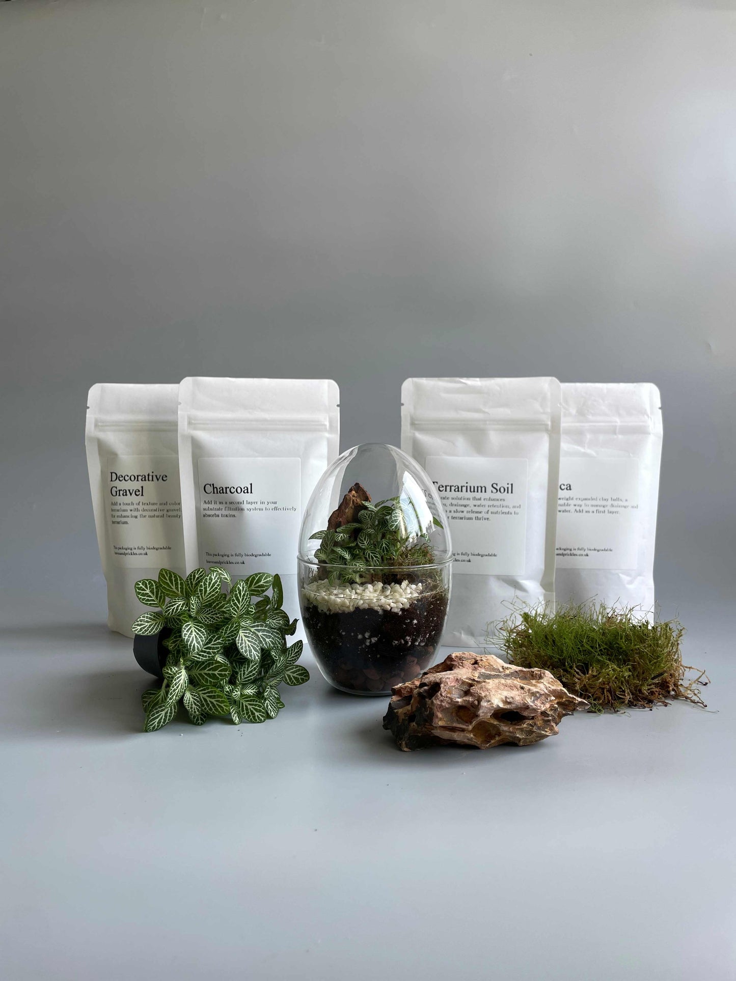 Small egg terrarium kit with live plants