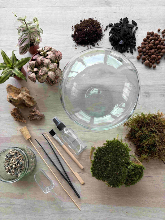 Glass Bowl Terrarium Workshop Poynton - Sunday 17th May | 6.30pm – 8pm