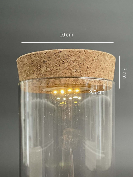 Terrarium LED Cork light with measurements