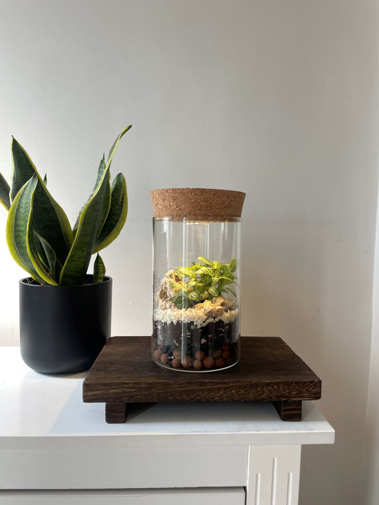 Tube terrarium with light