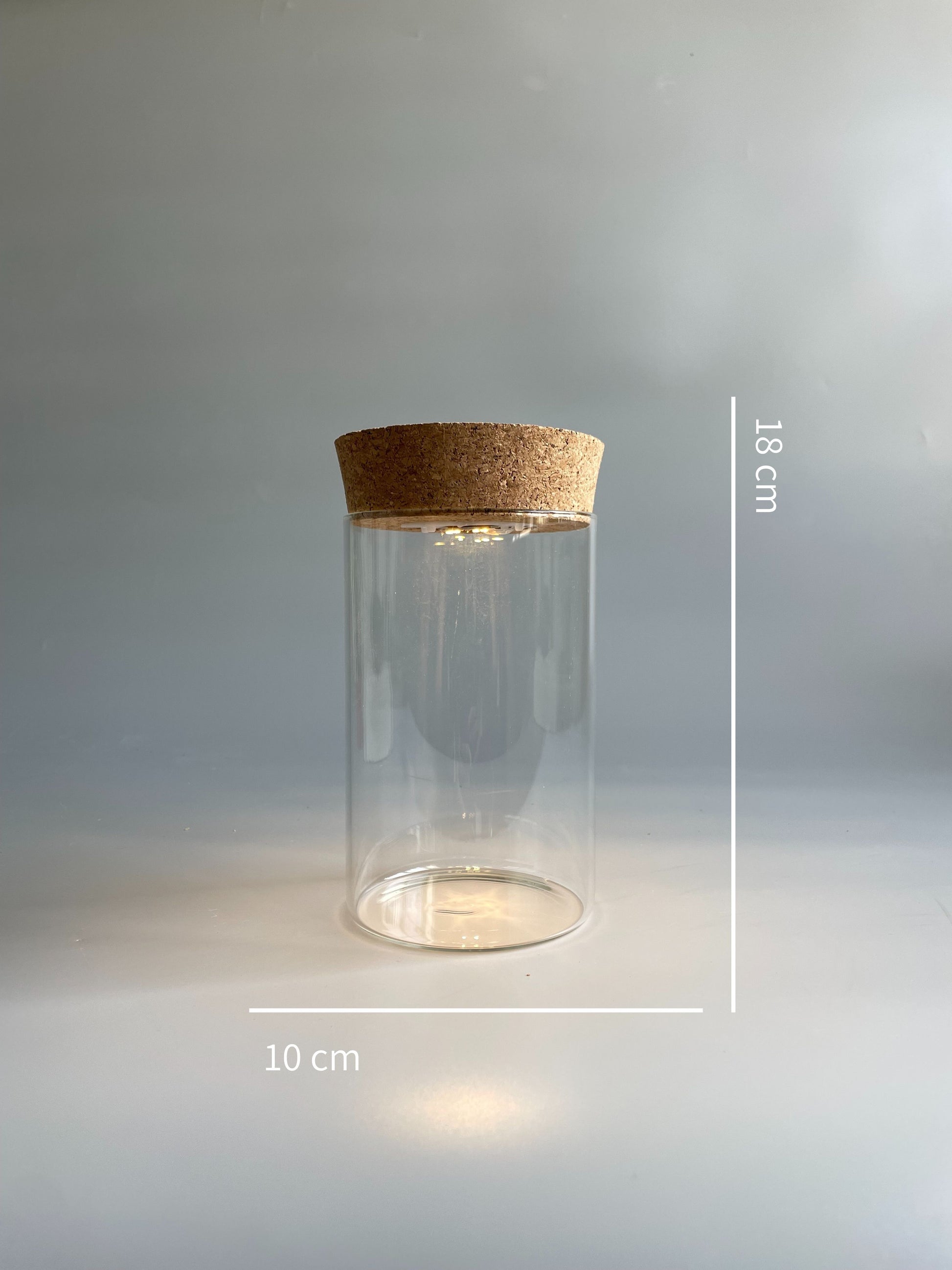 Tube terrarium with light