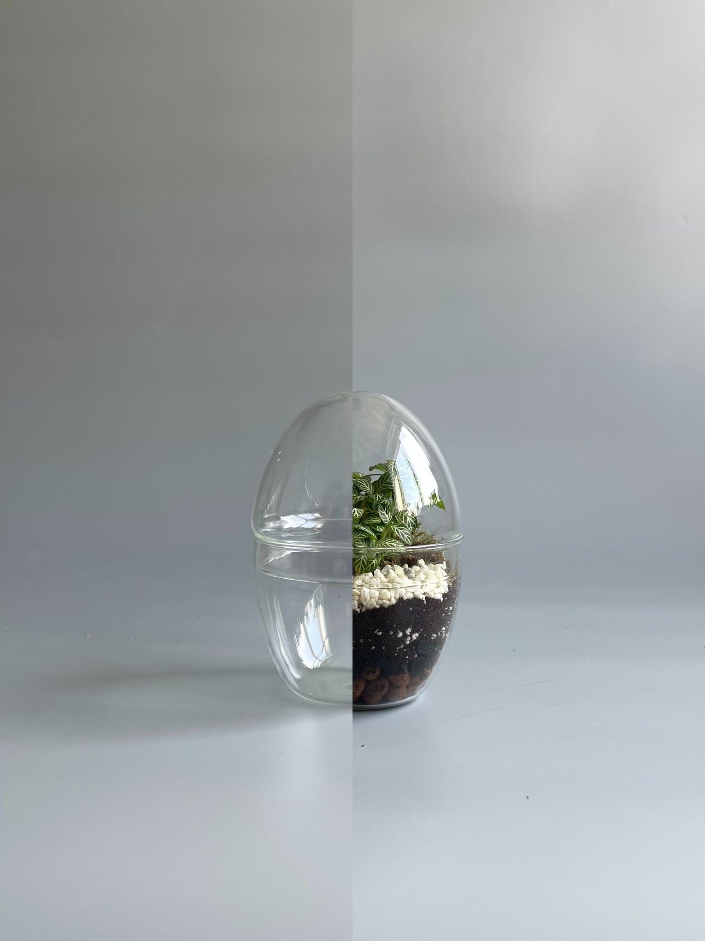 Glass Egg Terrarium Container - H: 14cm D: 9cm