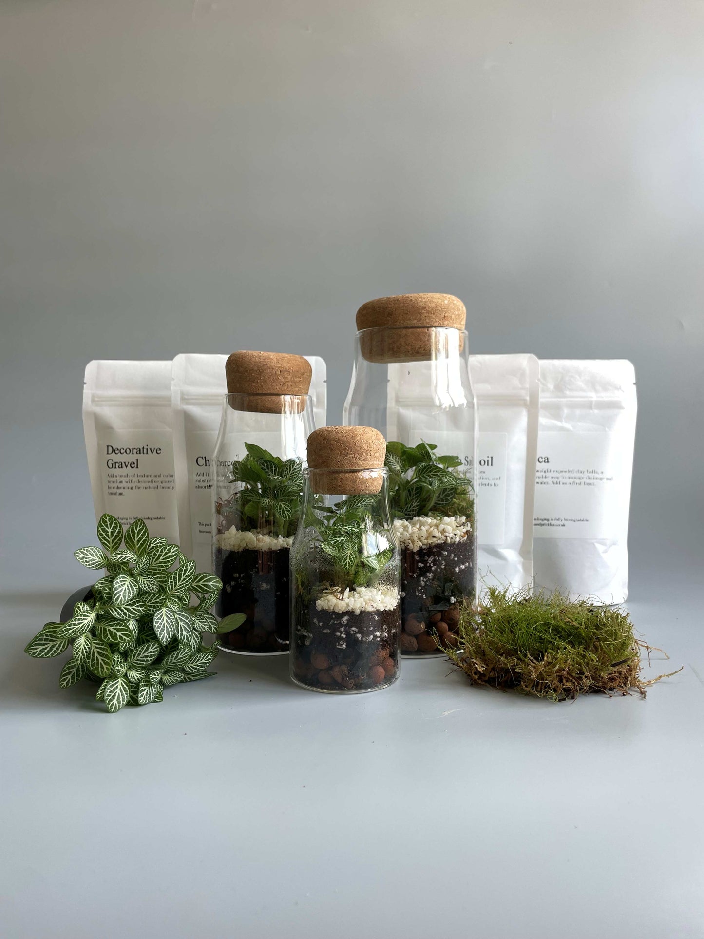 Bottle Terrarium Kit Bundle - S/M/L