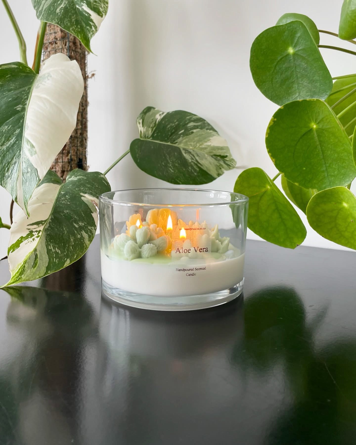 burning large terrarium candle