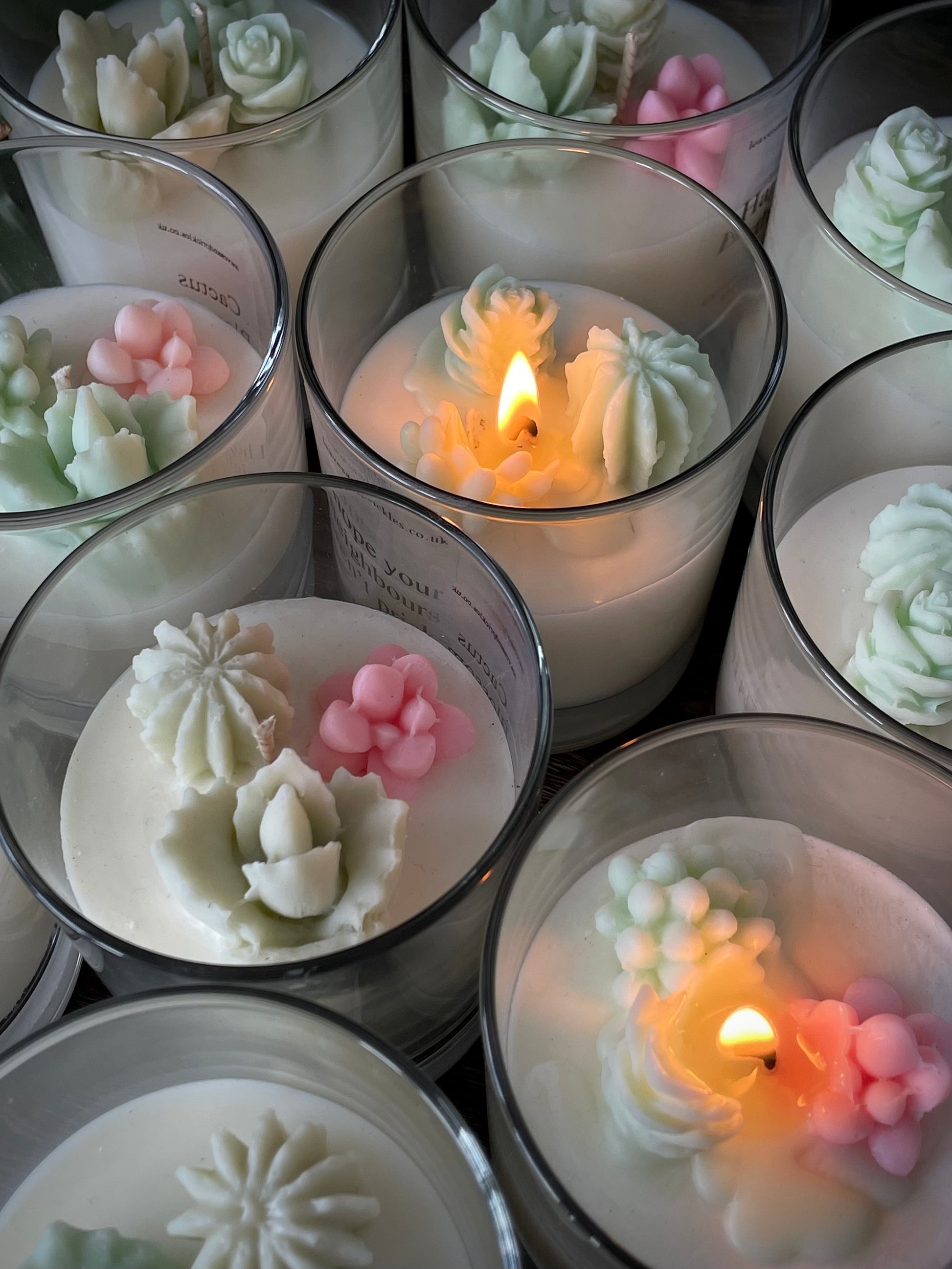 cacti an succulents terrarium candles