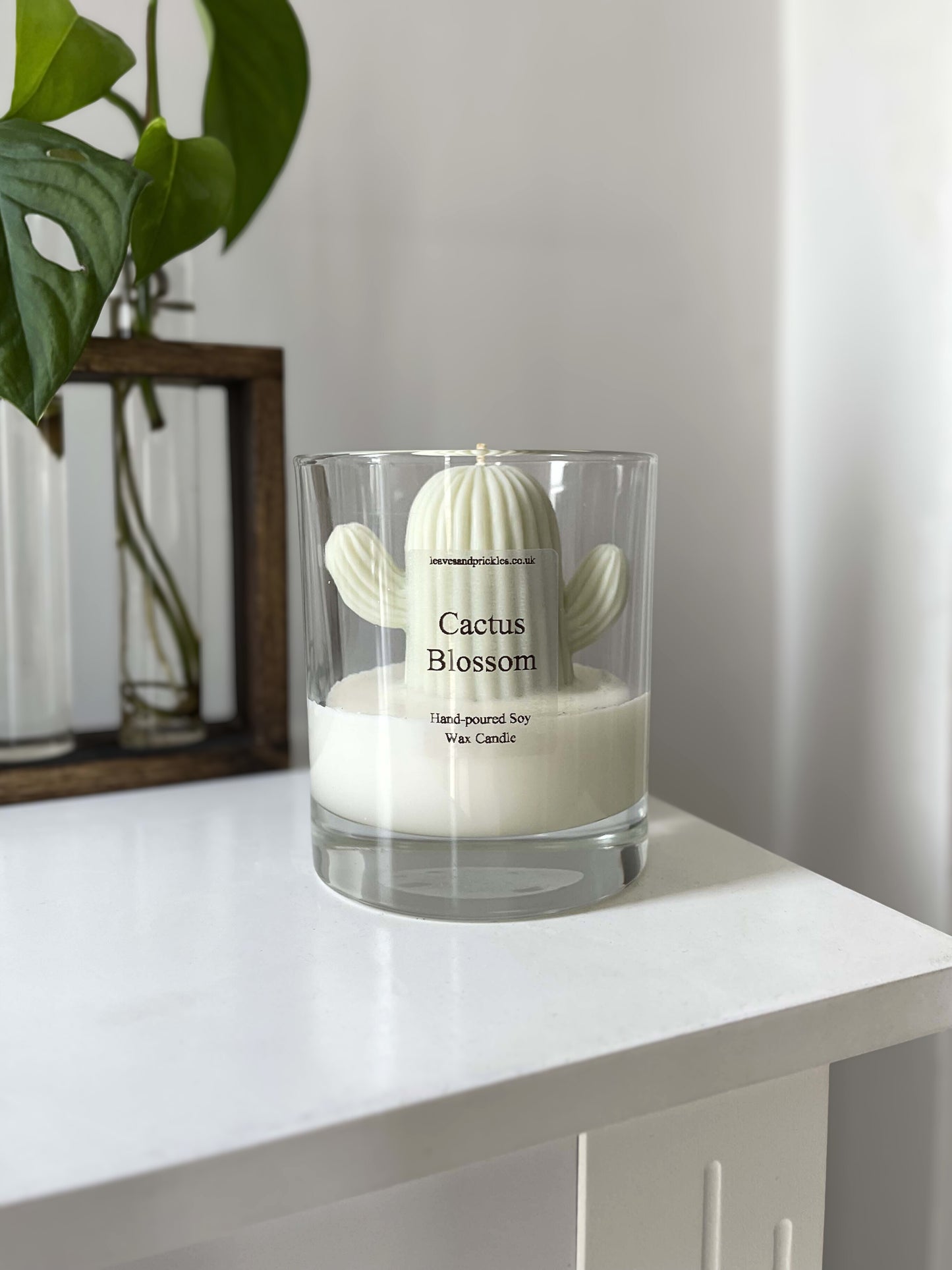 cactus candle in glass jar