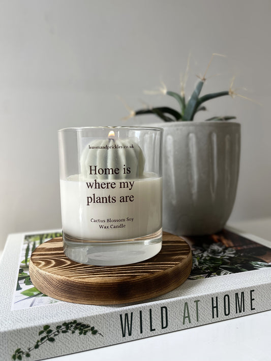 cactus candle in glass jar housewarming gift