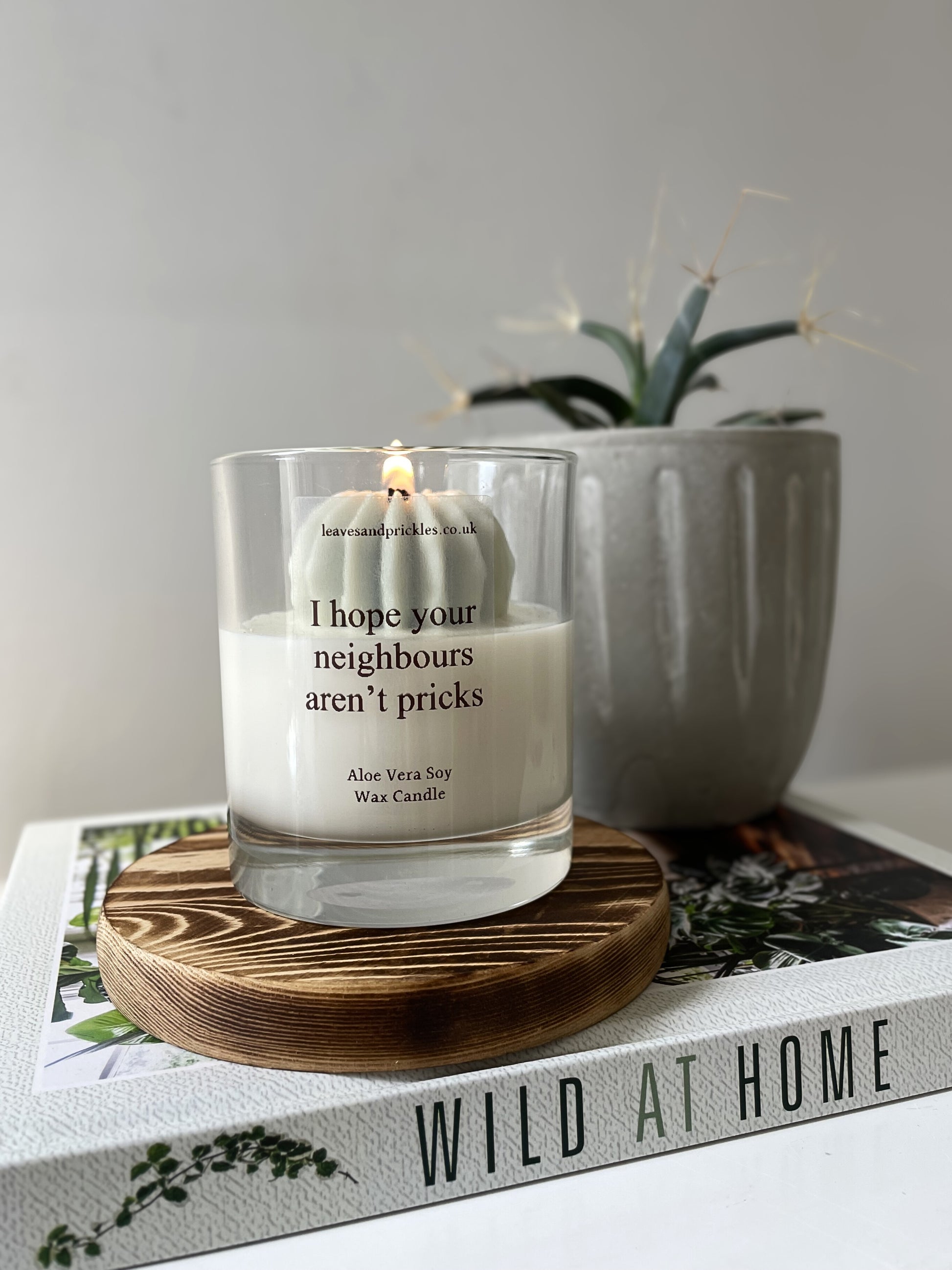 cactus candle in glass jar housewarming gift