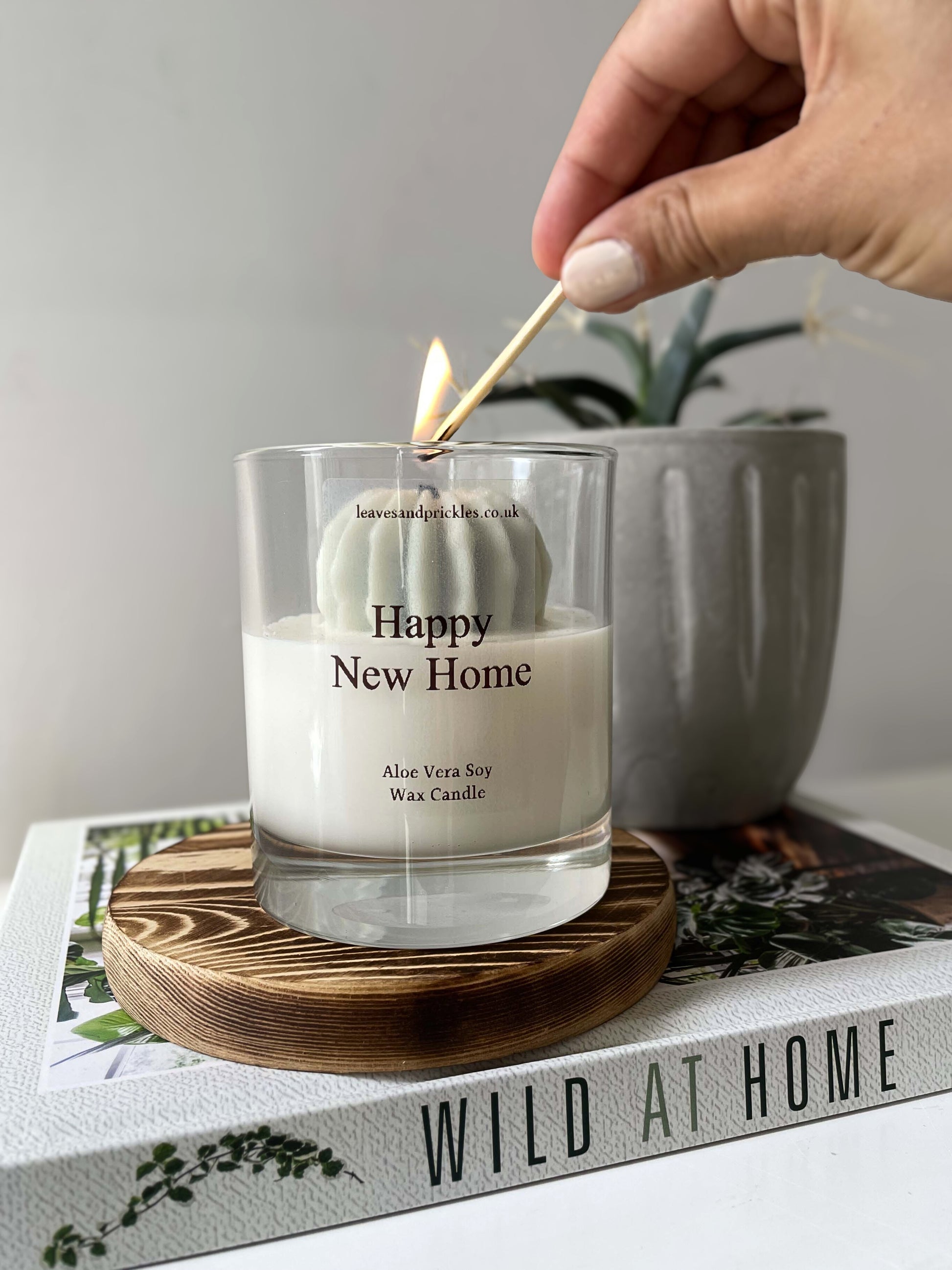 cactus candle in glass jar housewarming gift