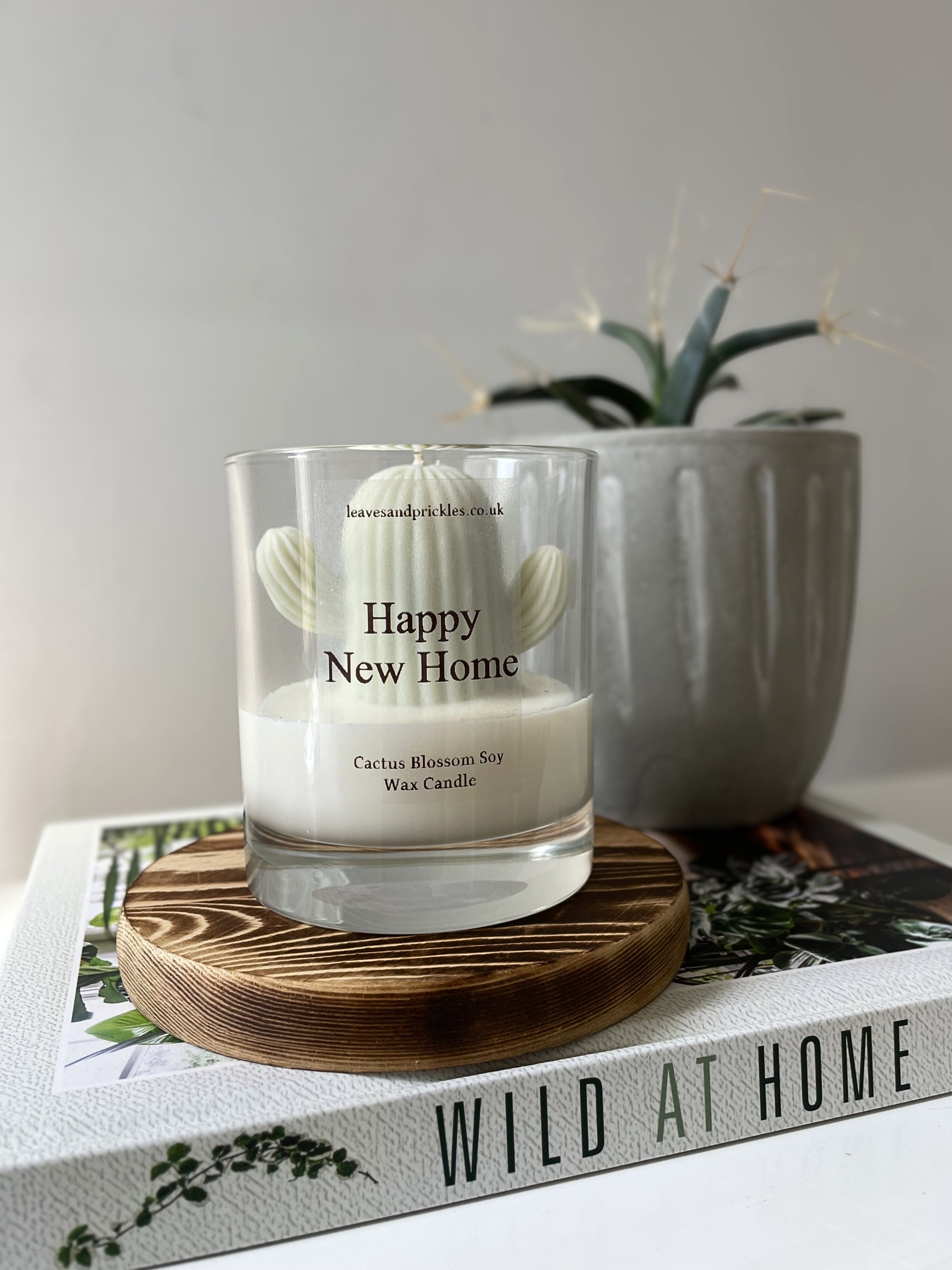 cactus candle in glass jar housewarming gift