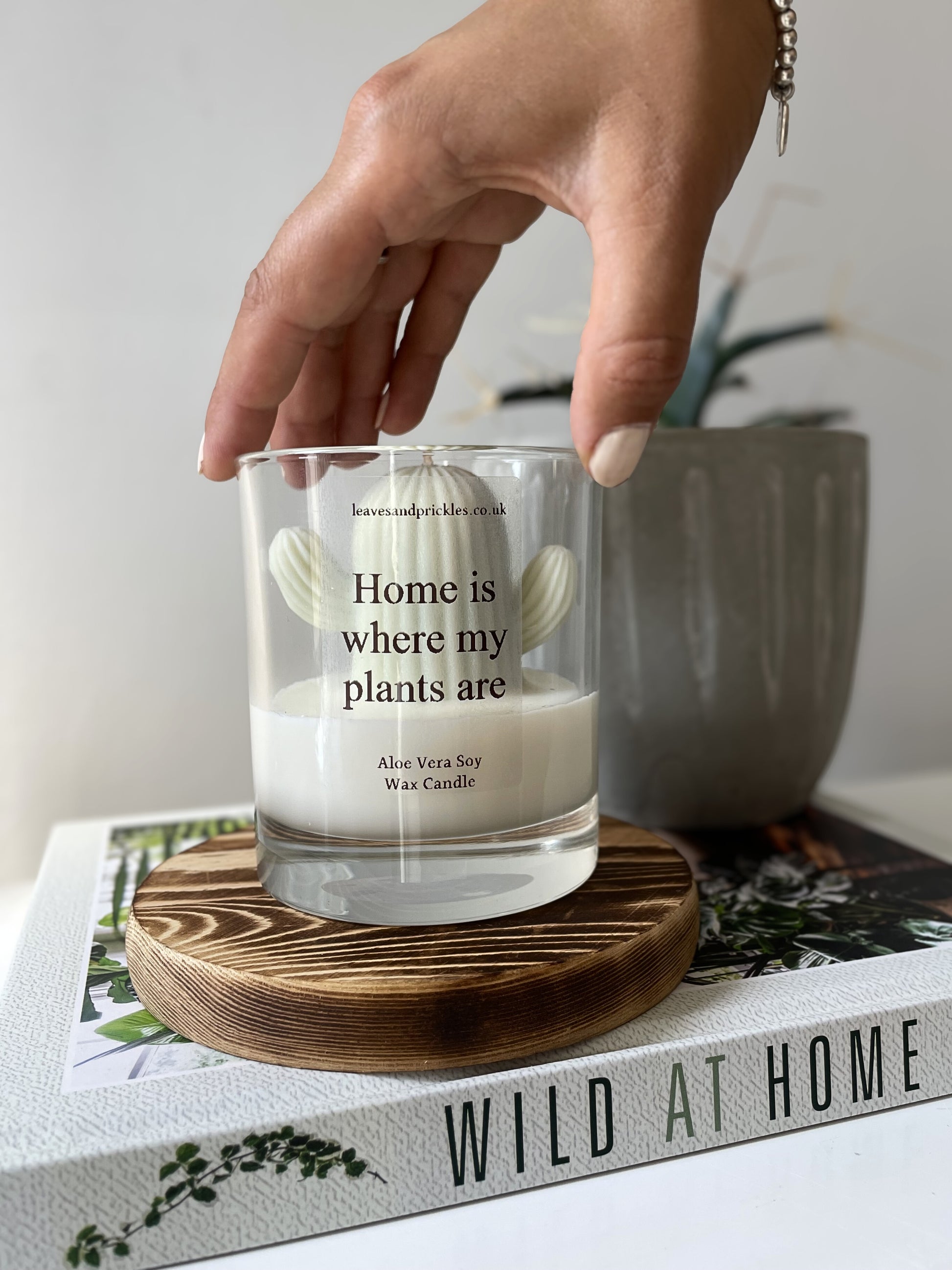 cactus candle in glass jar housewarming gift