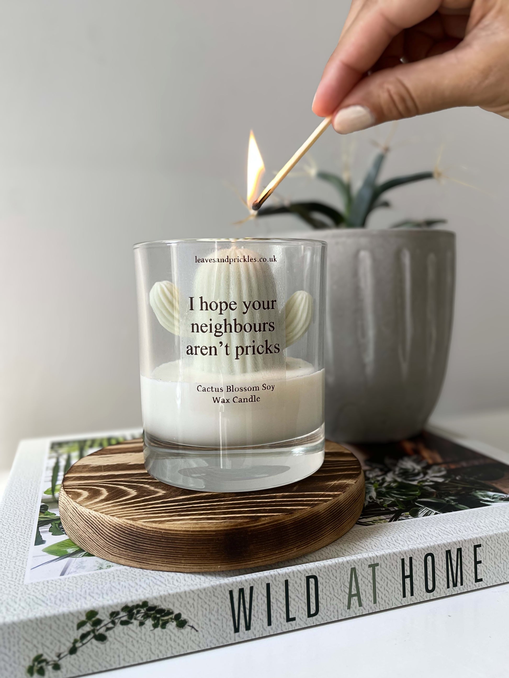cactus candle in glass jar housewarming gift
