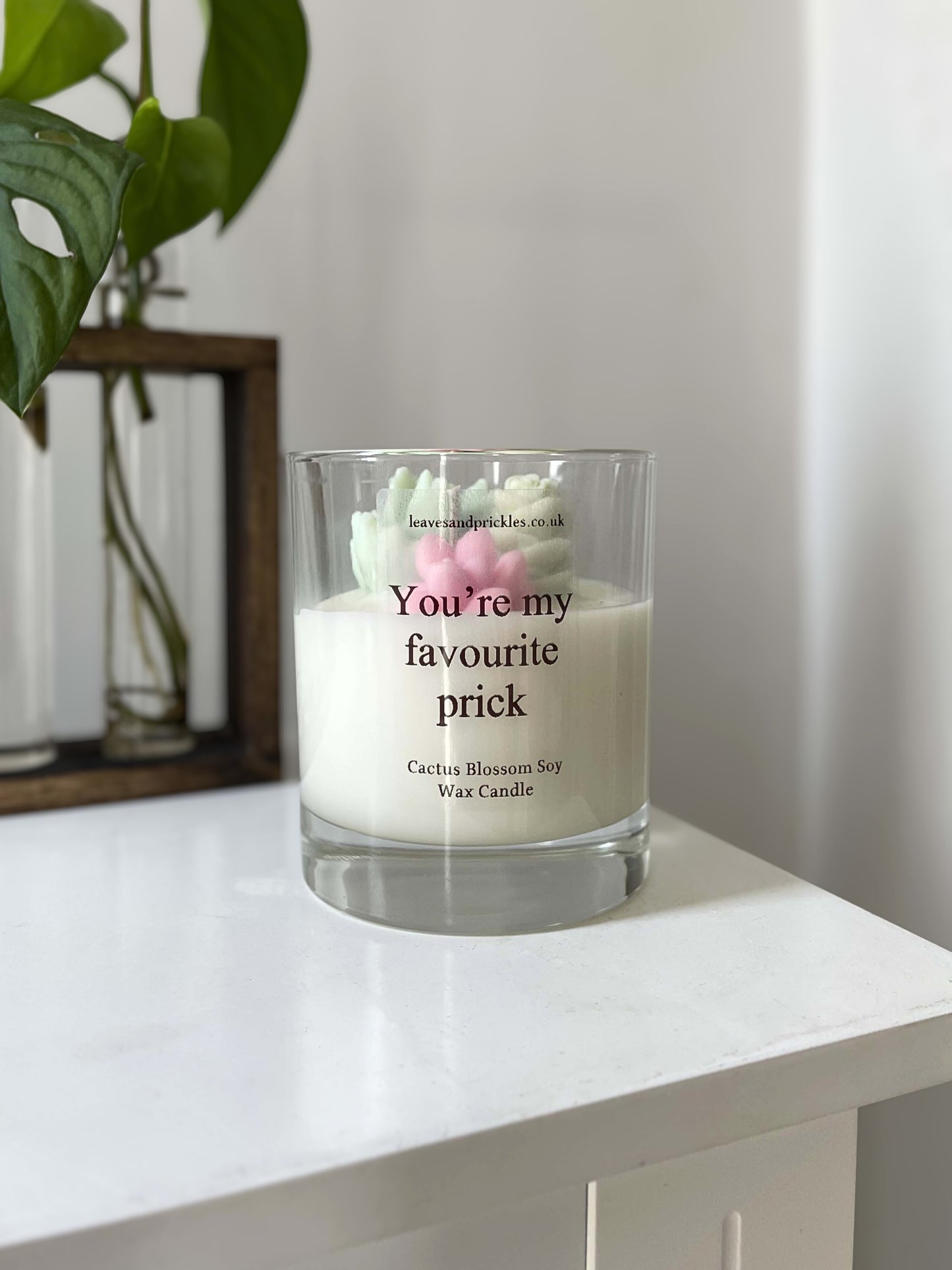 funny cacti and succulents terrarium candle in glass jar