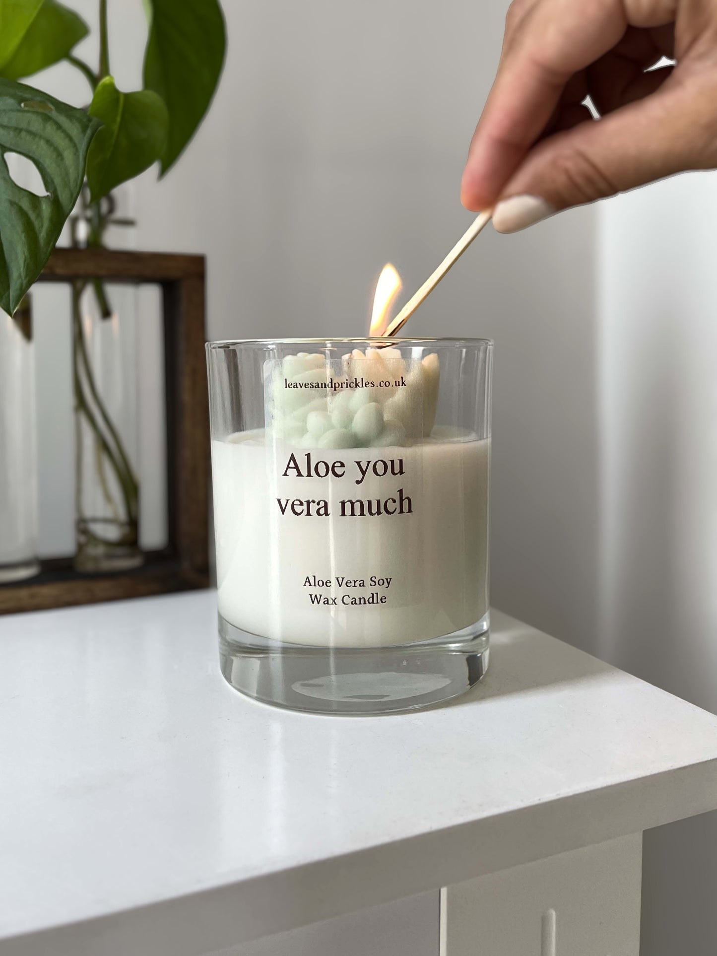 funny cacti and succulents terrarium candle in glass jar