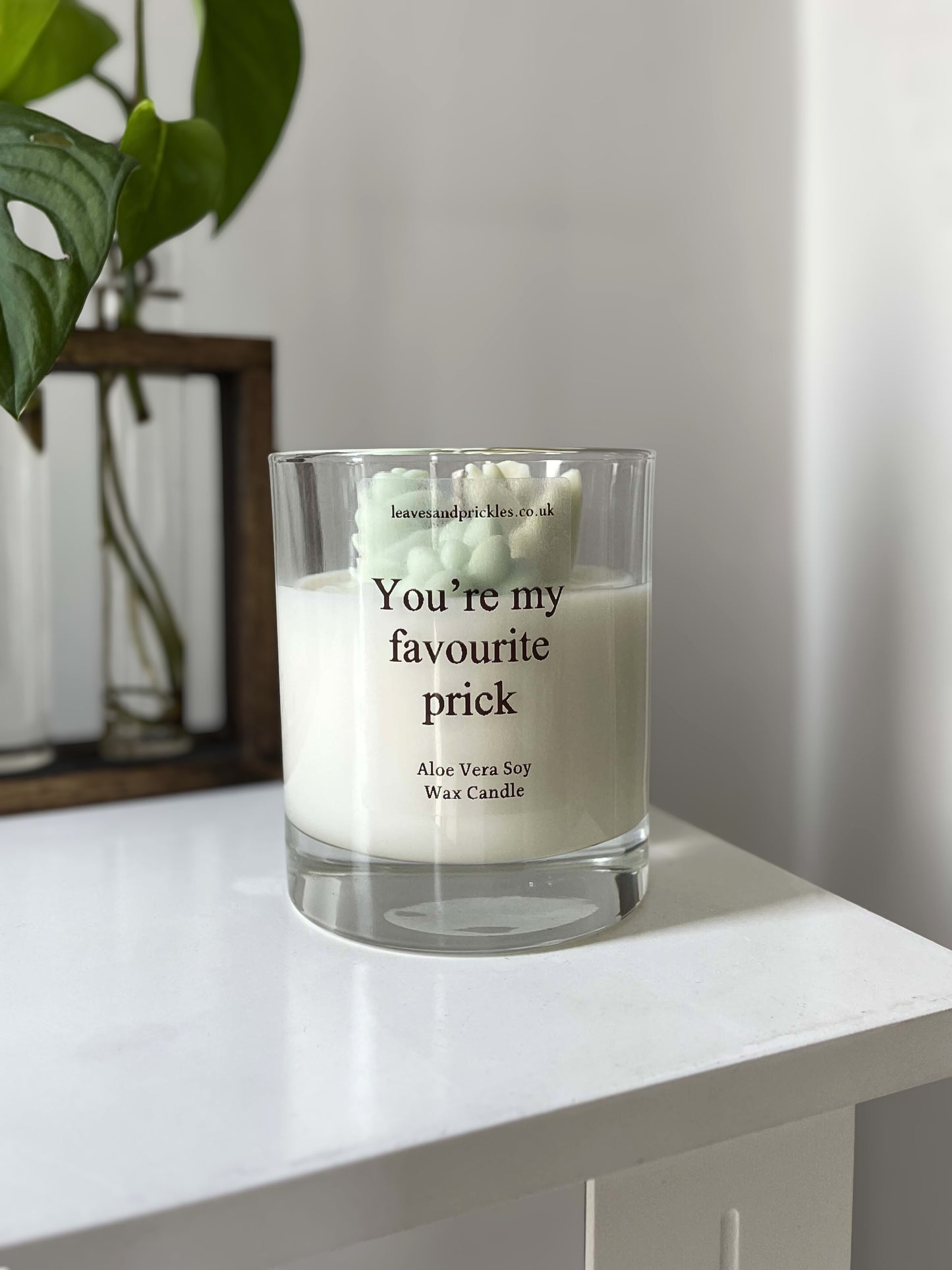 funny cacti and succulents terrarium candle in glass jar