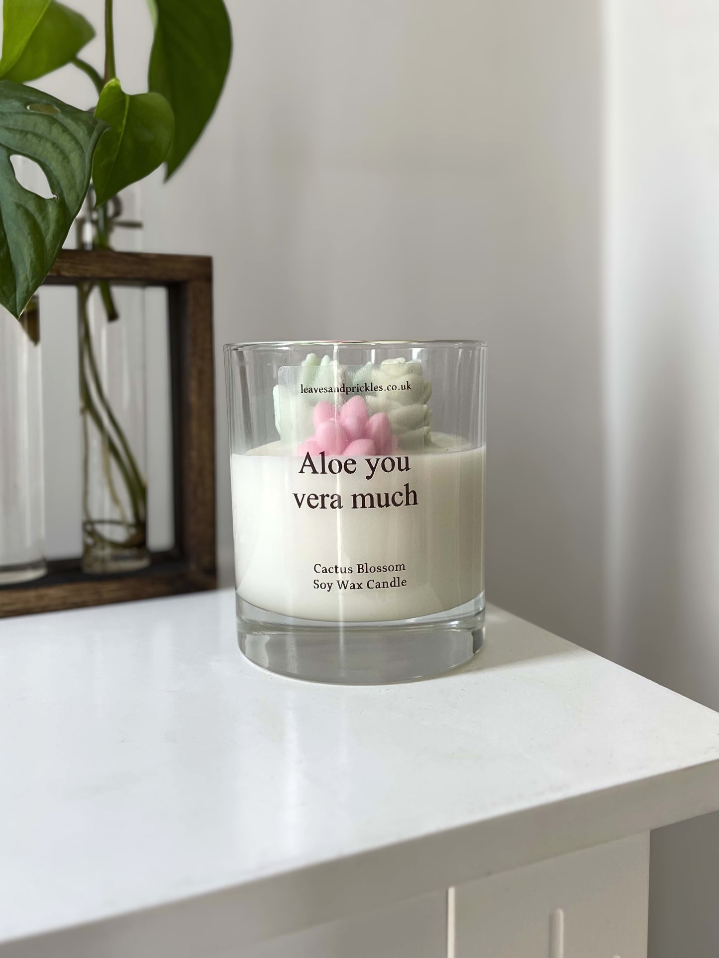 funny cacti and succulents terrarium candle in glass jar