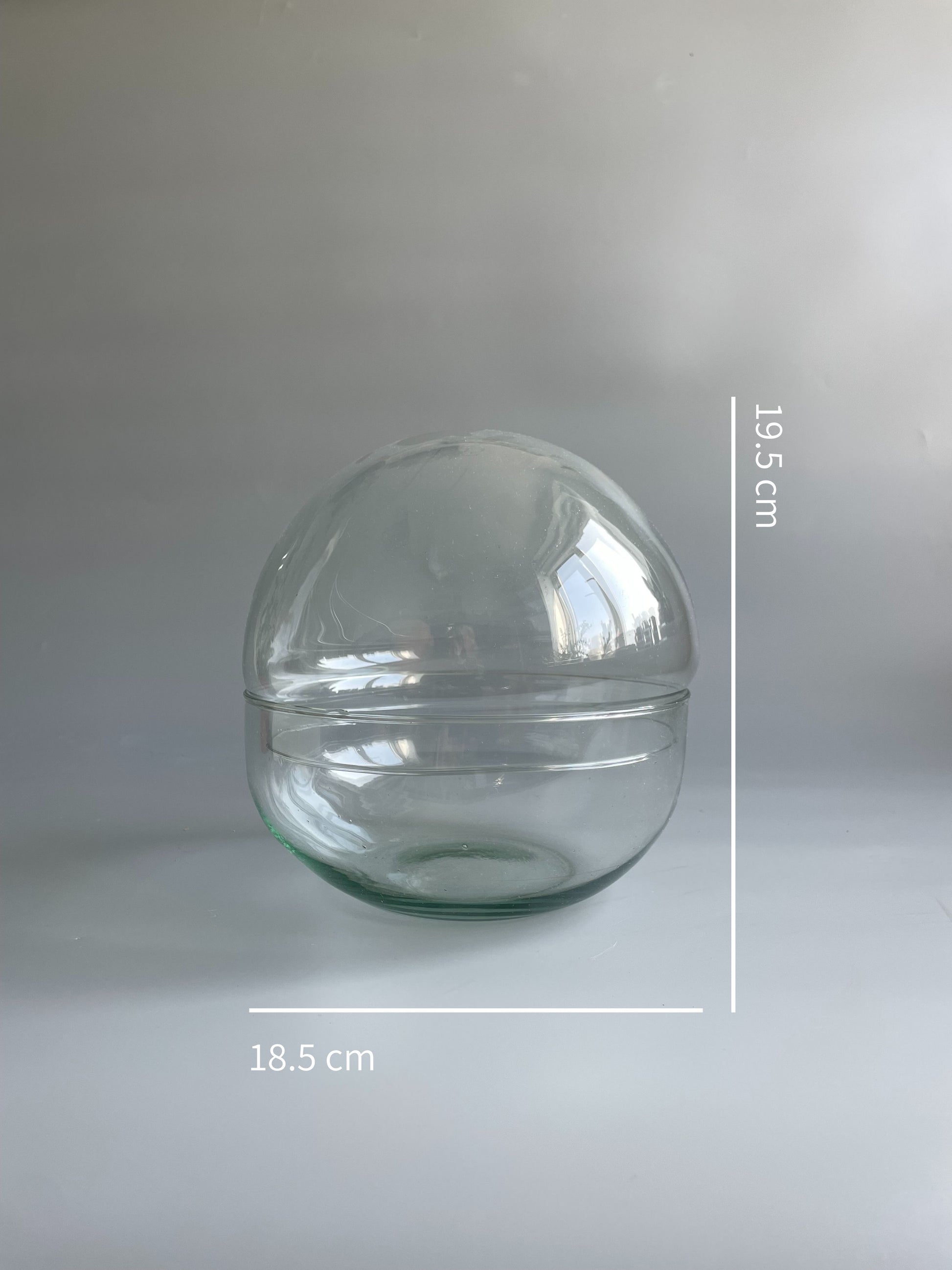 Clear glass terrarium sphere with dimensions on a light grey background
