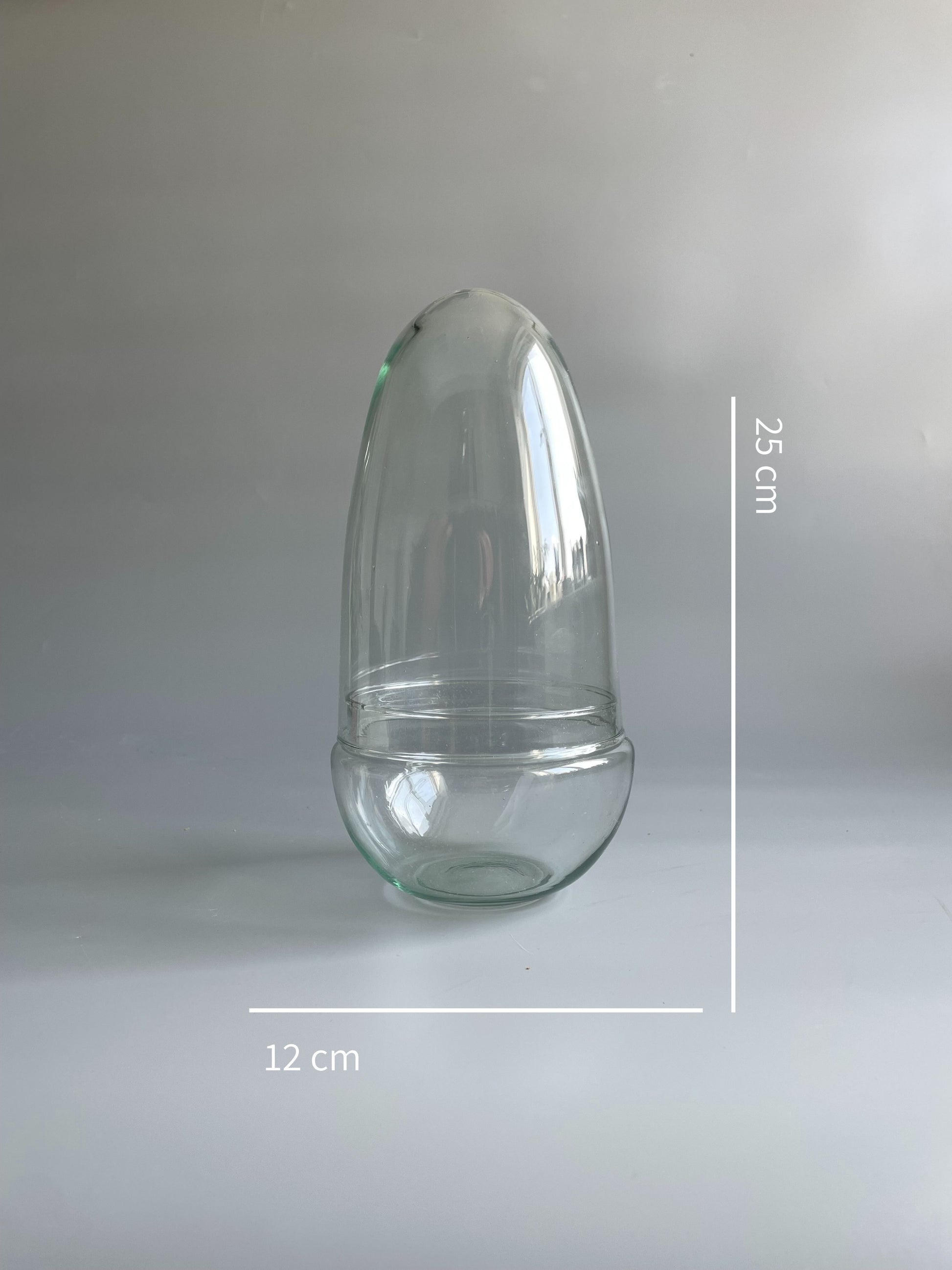 Clear glass egg-shaped terrarium container with dimensions on a grey background