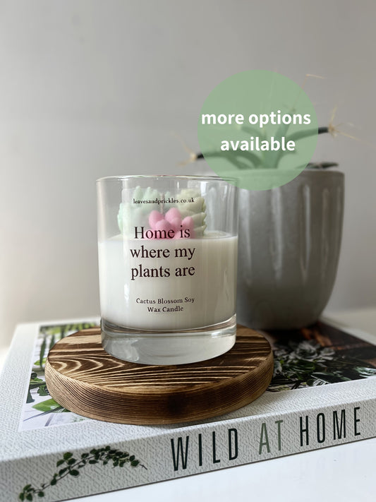 housewarming cacti and succulents candle in glass jar