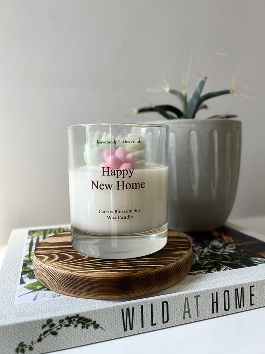 housewarming cacti and succulents candle in glass jar