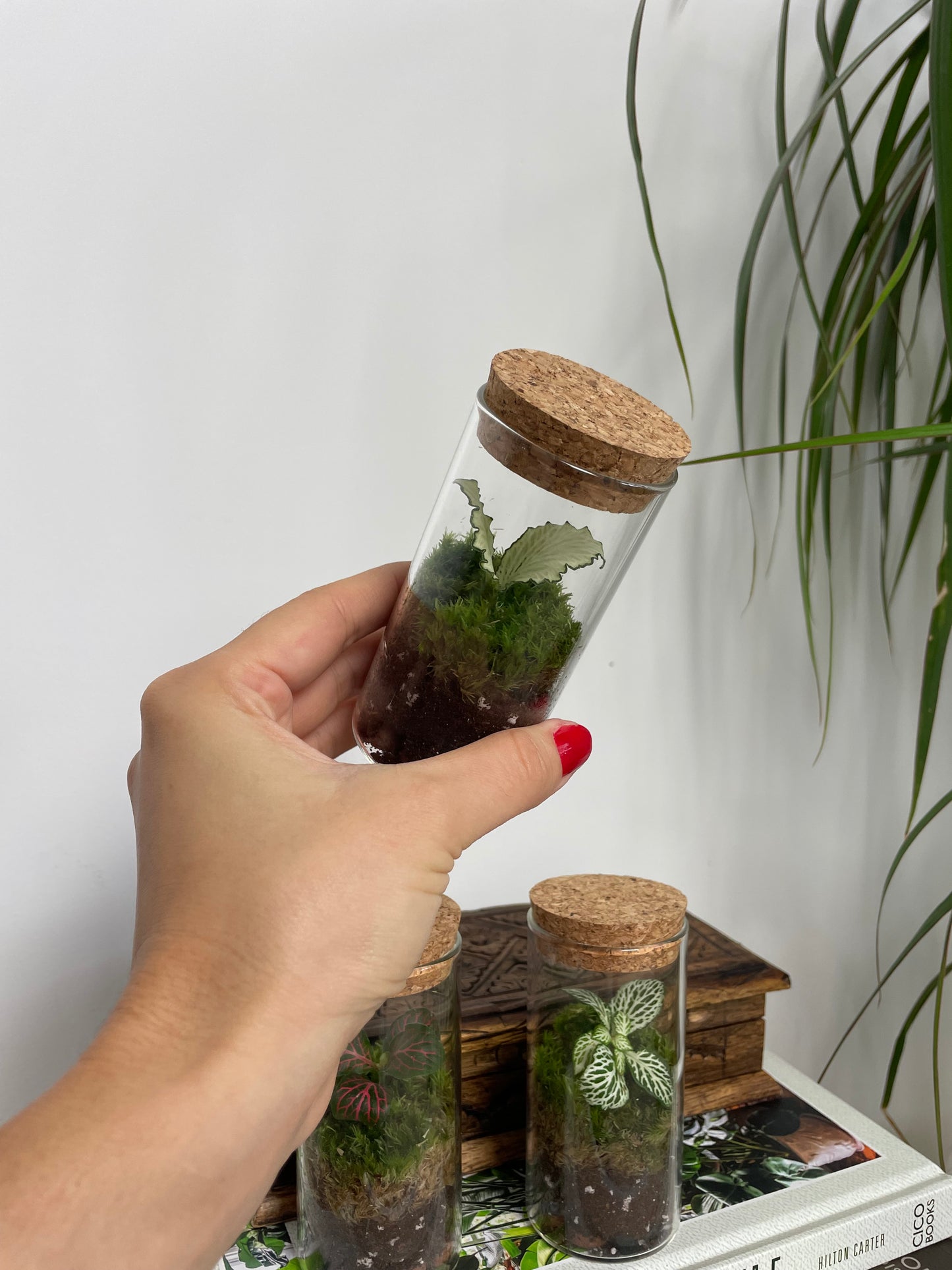 Mini terrarium