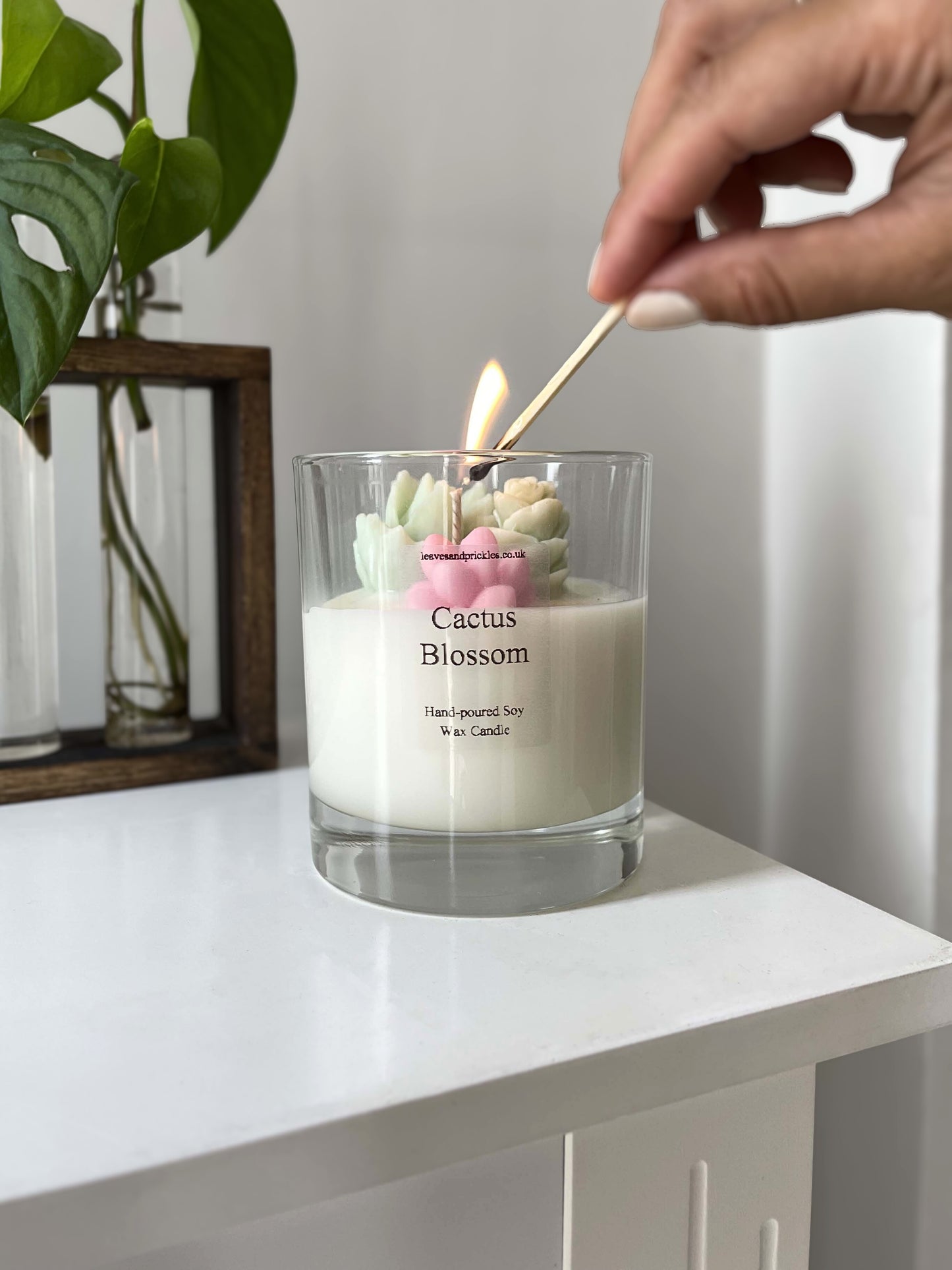 pink and green terrarium cactus candle in glass jar cactus blossom scent