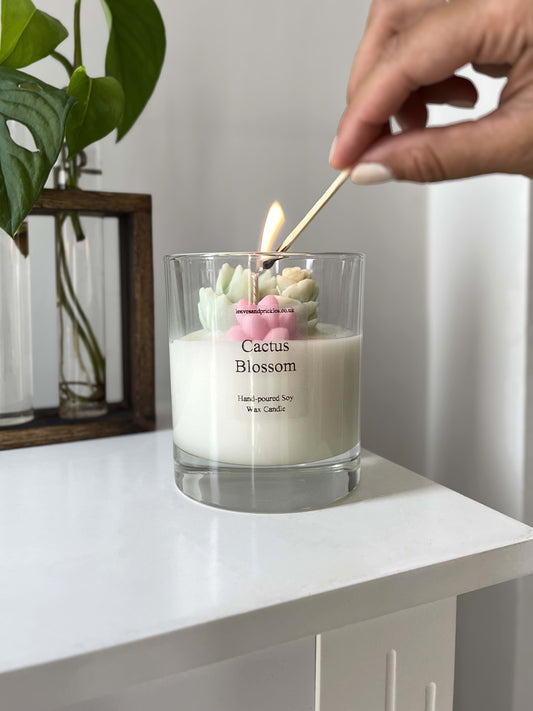 pink and green terrarium cactus candle in glass jar cactus blossom scent