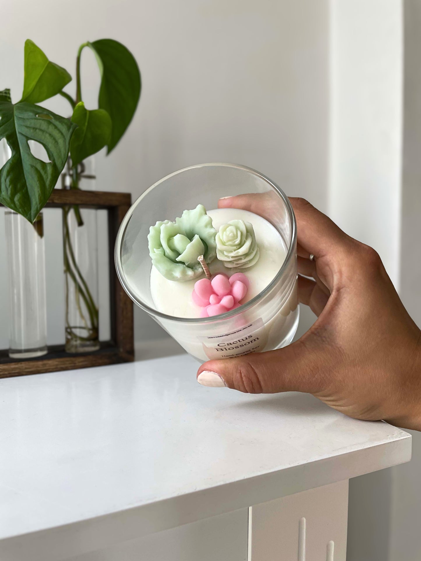 pink and green terrarium cactus candle in glass jar, cactus blossom scent