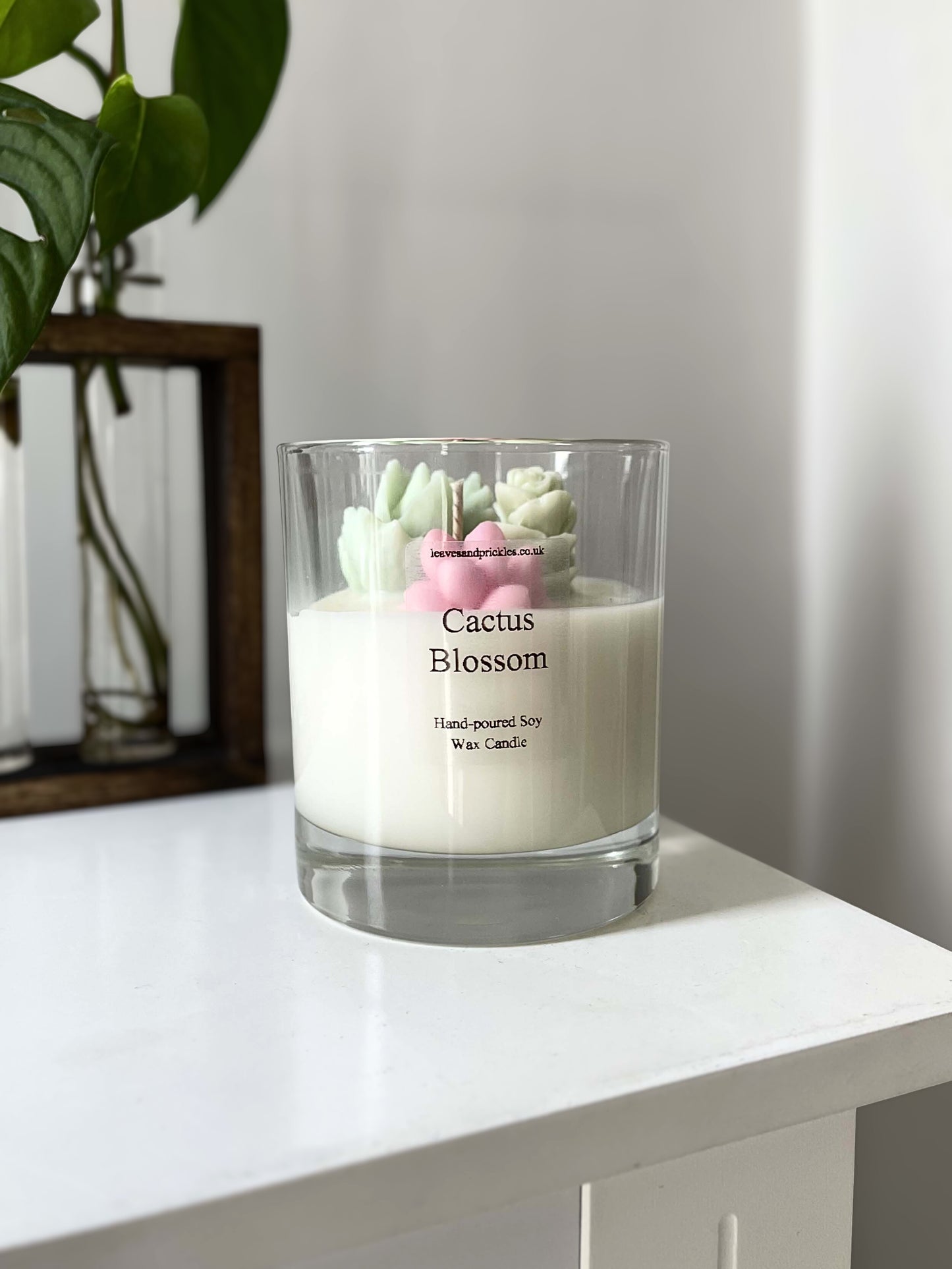 pink and green terrarium cactus candle in glass jar, cactus blossom scent