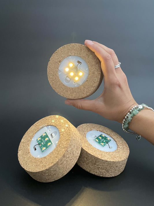 terrarium cork with LED light