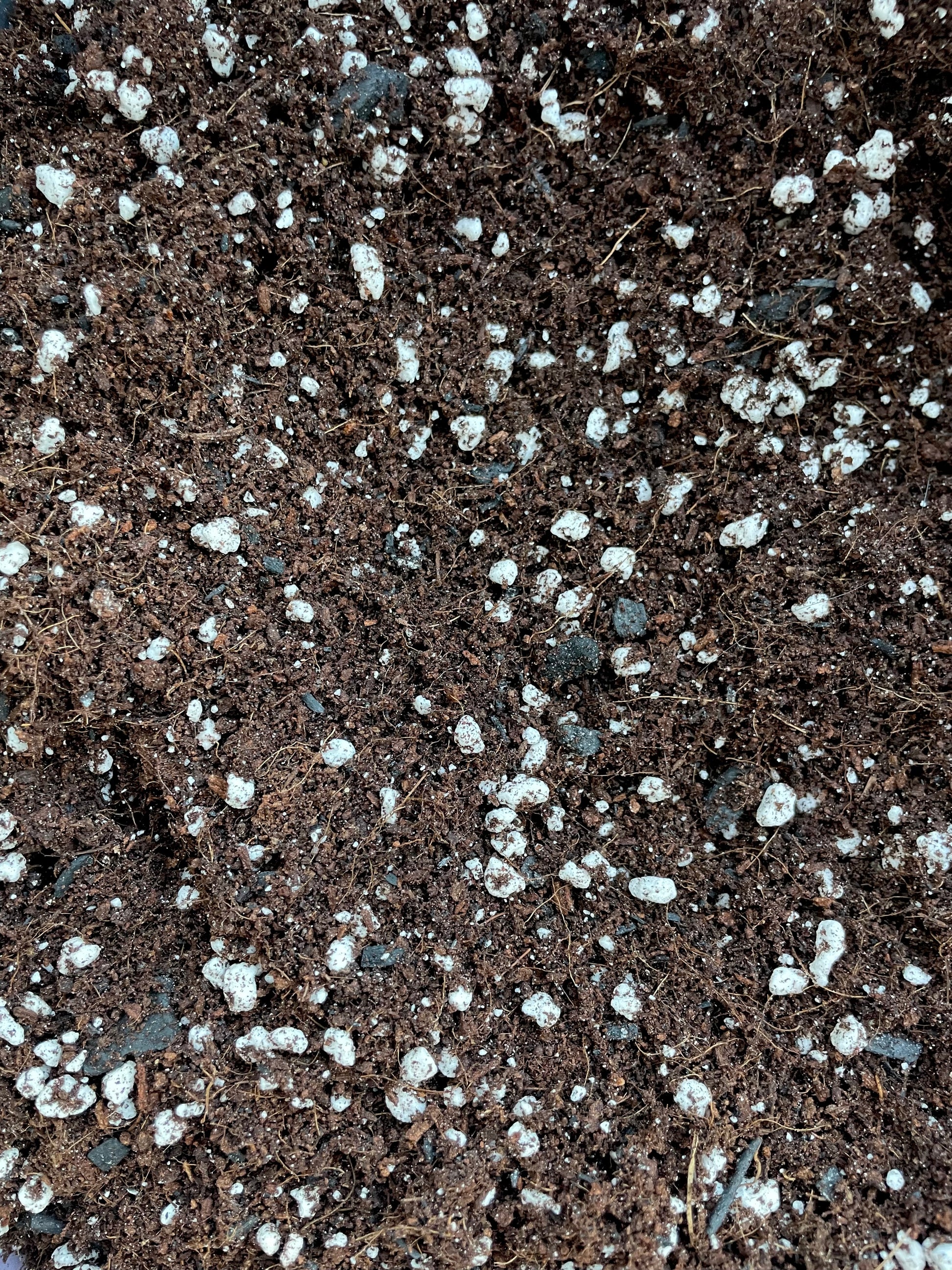terrarium soil blend