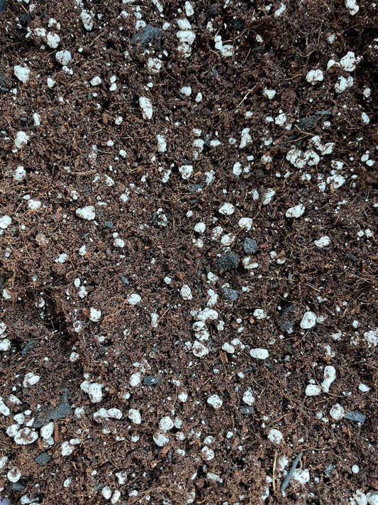 terrarium soil blend