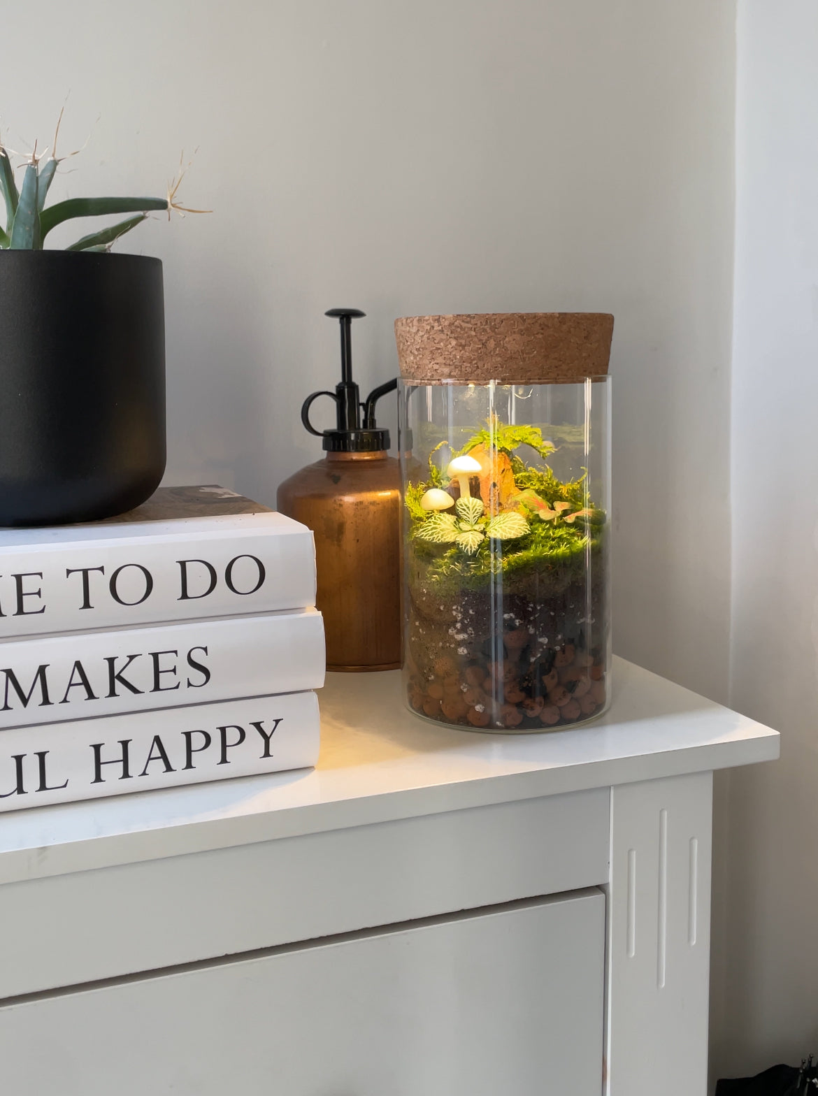 light up terrarium