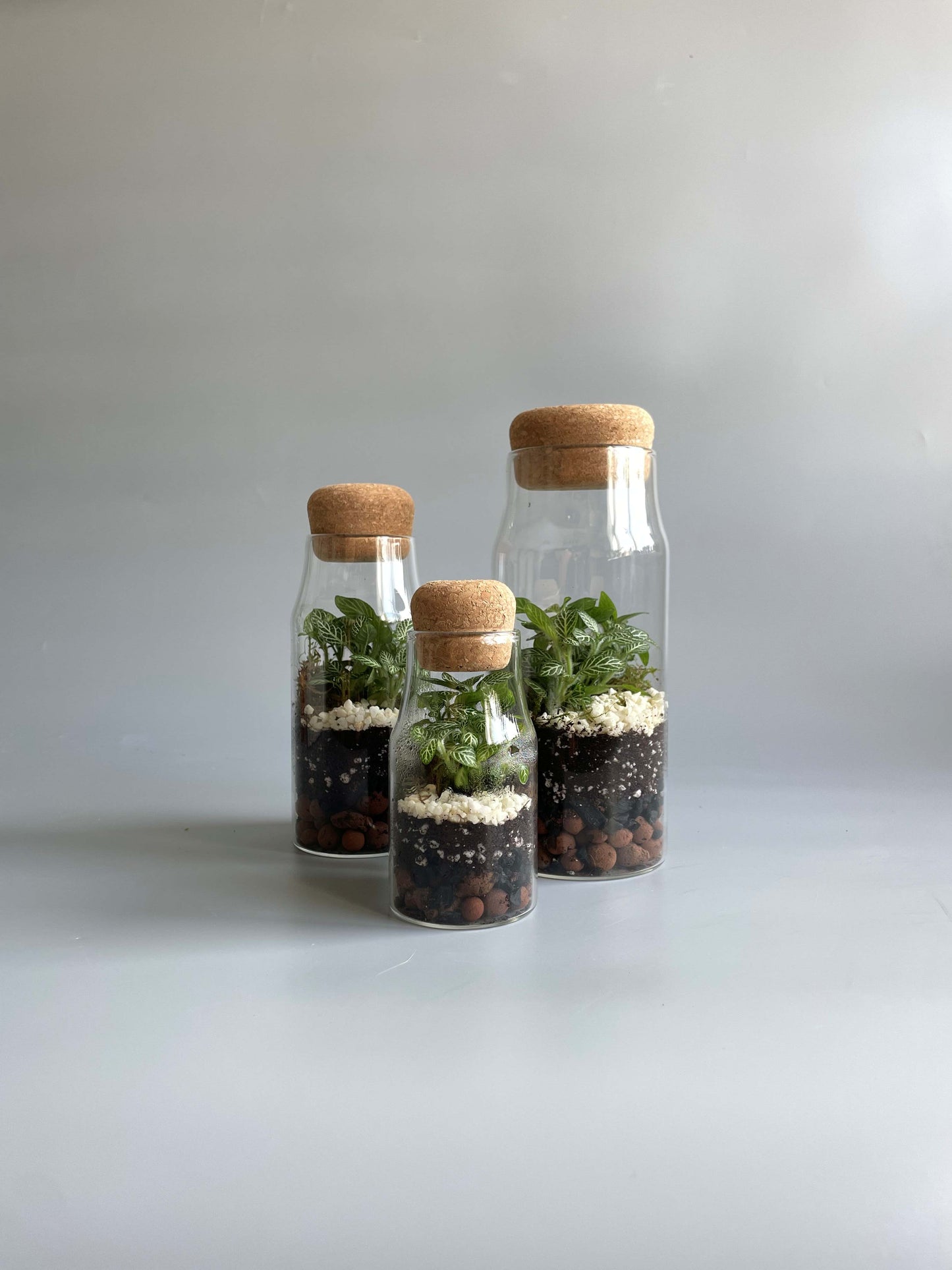 Bottle Terrarium Kit Bundle - S/M/L