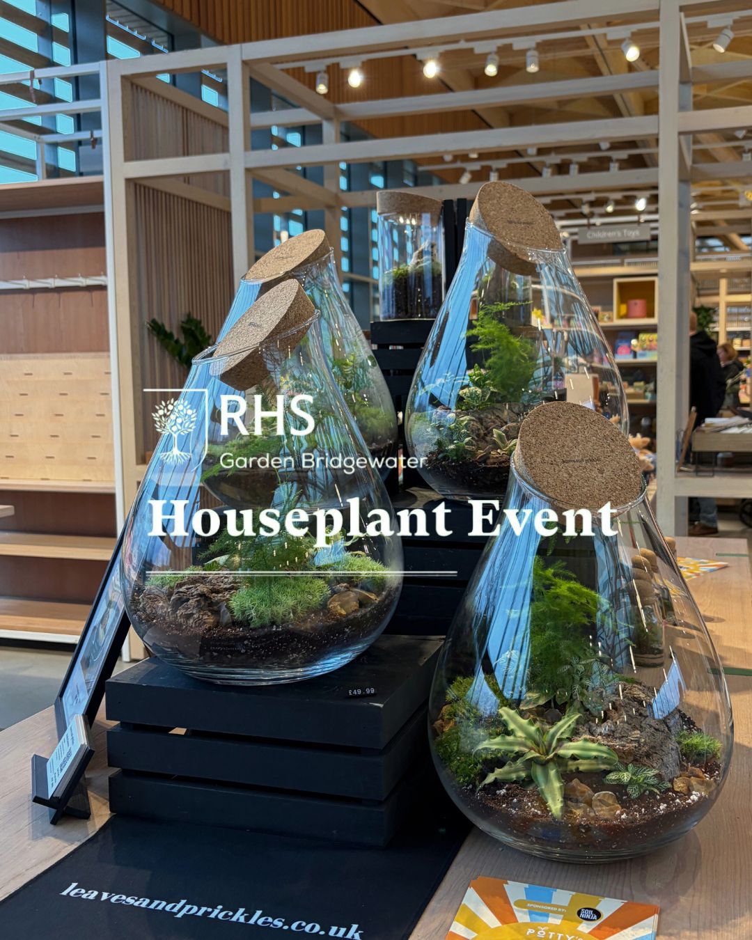 Highlights from RHS Bridgewater Houseplants Event