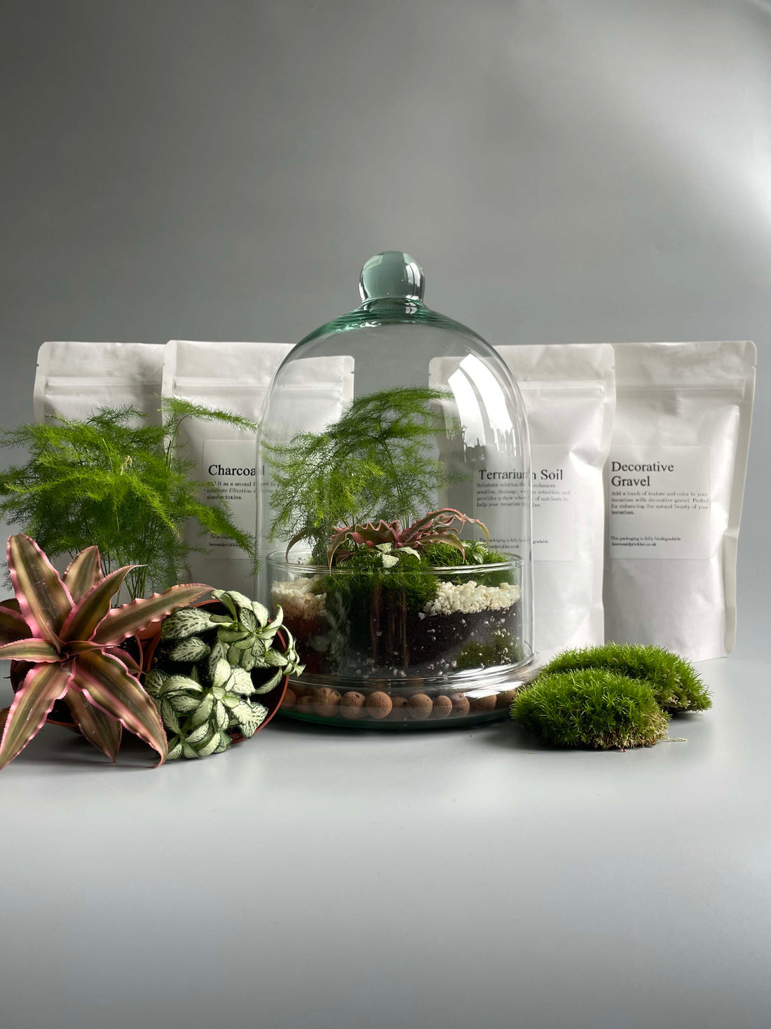 Glass dome terrarium kit 