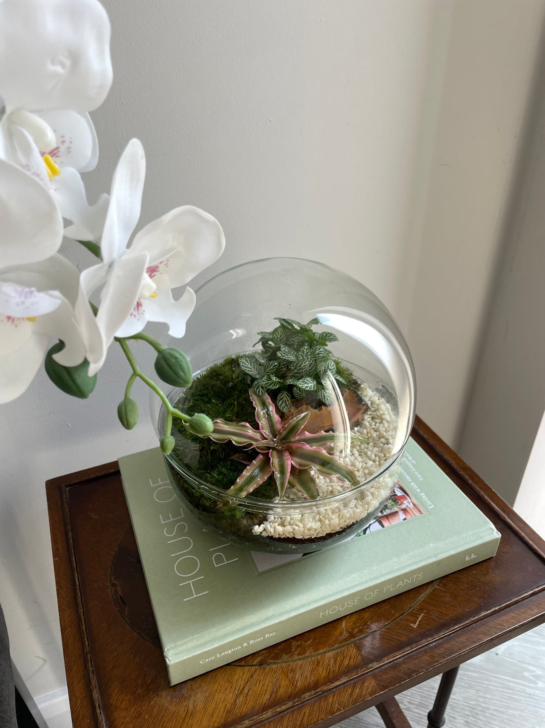 Glass bowl terrarium 