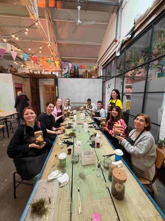 Highlights from the Sunshine Plant Collective