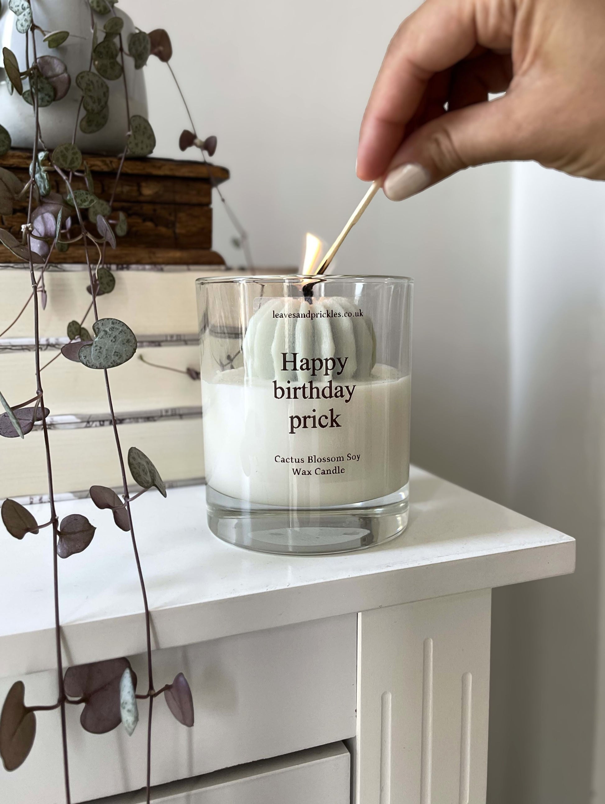 Birthday gift cactus candle in glass jar 