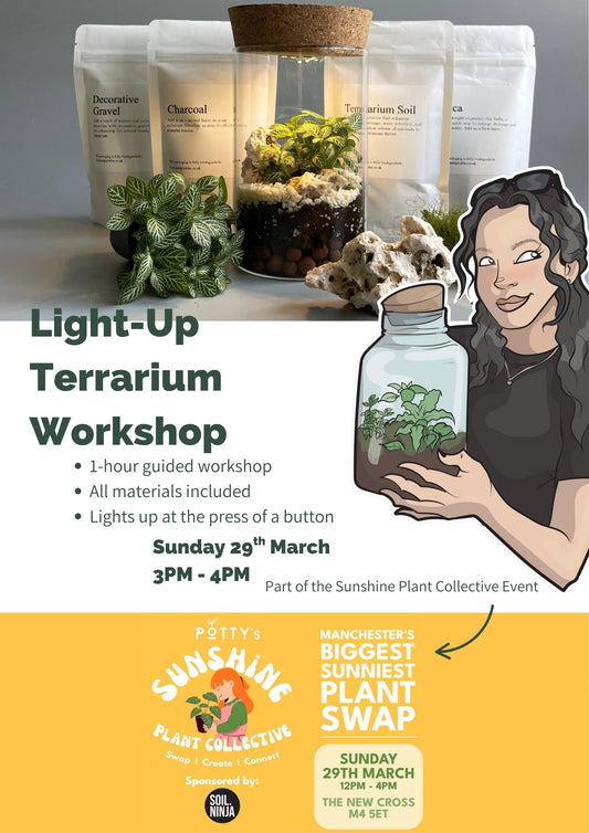 Light-Up Terrarium Workshop Manchester - Sunday 29th March | 3pm – 4pm